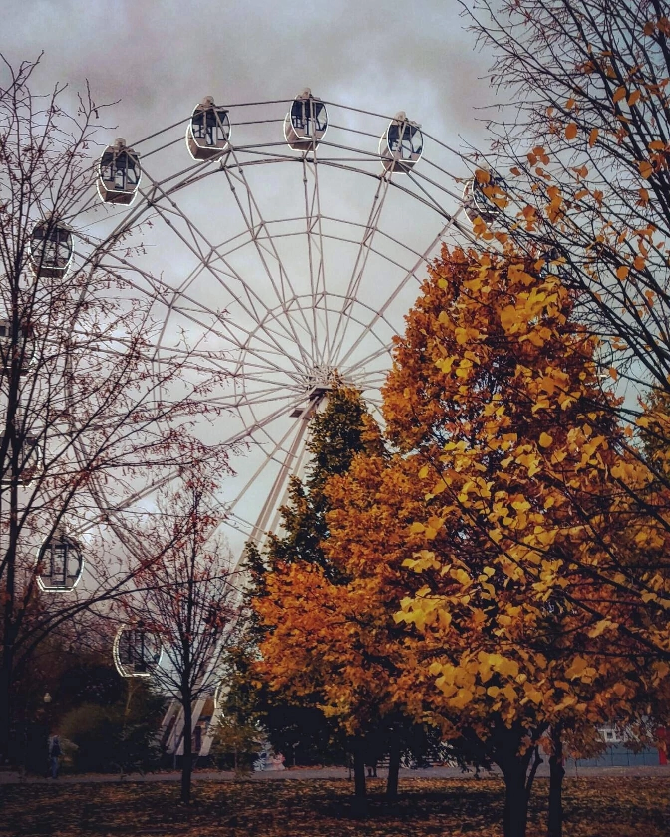 I'm waiting for such an autumn - My, Autumn, Voronezh, Victory park