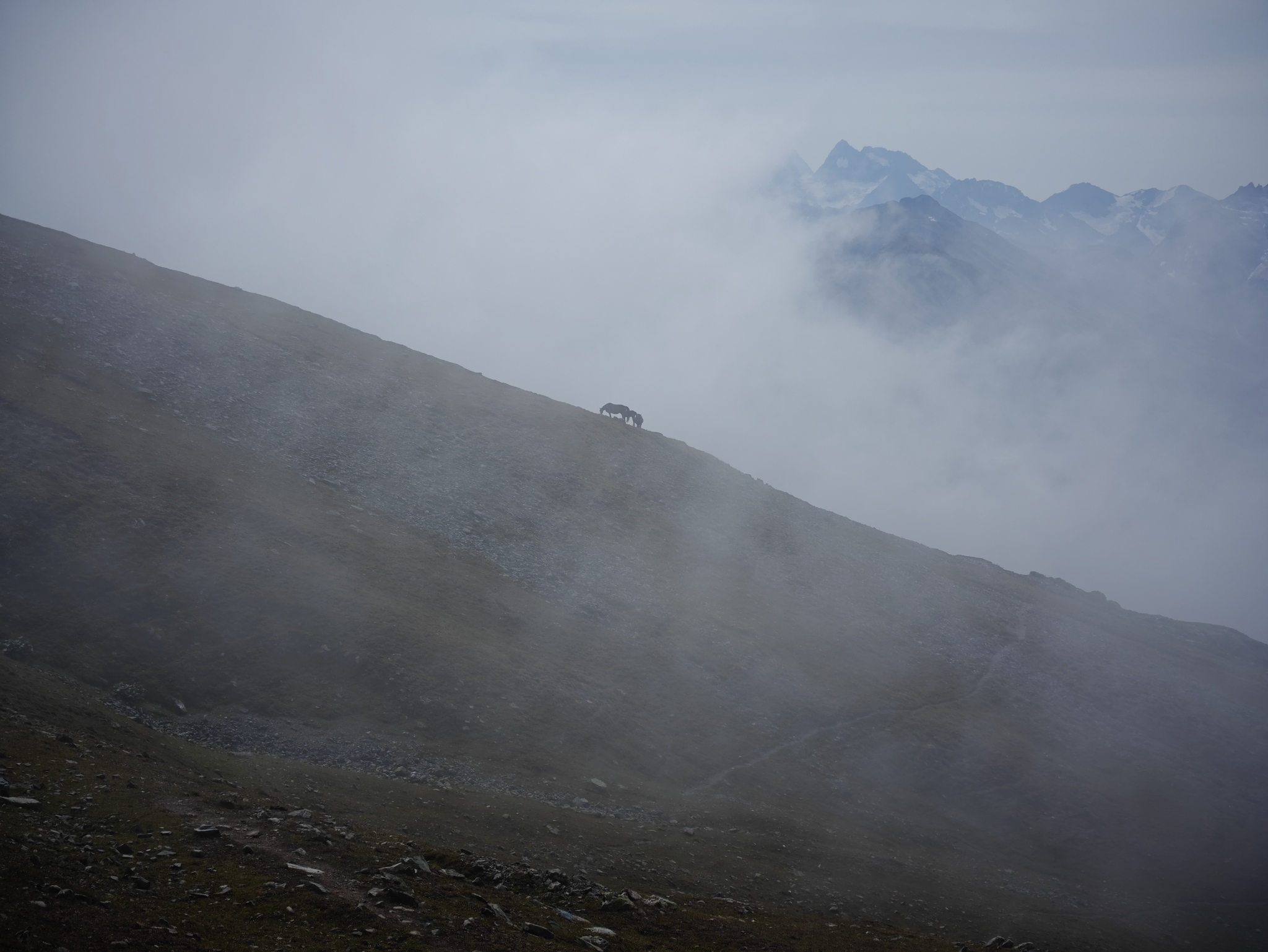 How I went on a hike beyond the Abishira-Akhuba ridge in Arkhyz. Part 2 - My, Hike, Mountain tourism, Caucasus, SrГјkzakompomiru, Camping, The mountains, Tourism, Travels, Arkhyz, Longpost, Video, The photo