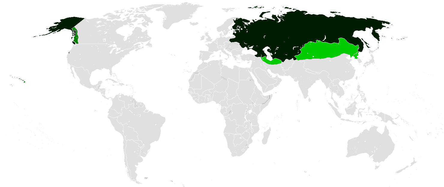 The Largest Empires in History - History (science), The Roman Empire, Persia, Mongol Empire, Great Britain, Russia, Spanish Empire, Cards, Empire, Longpost