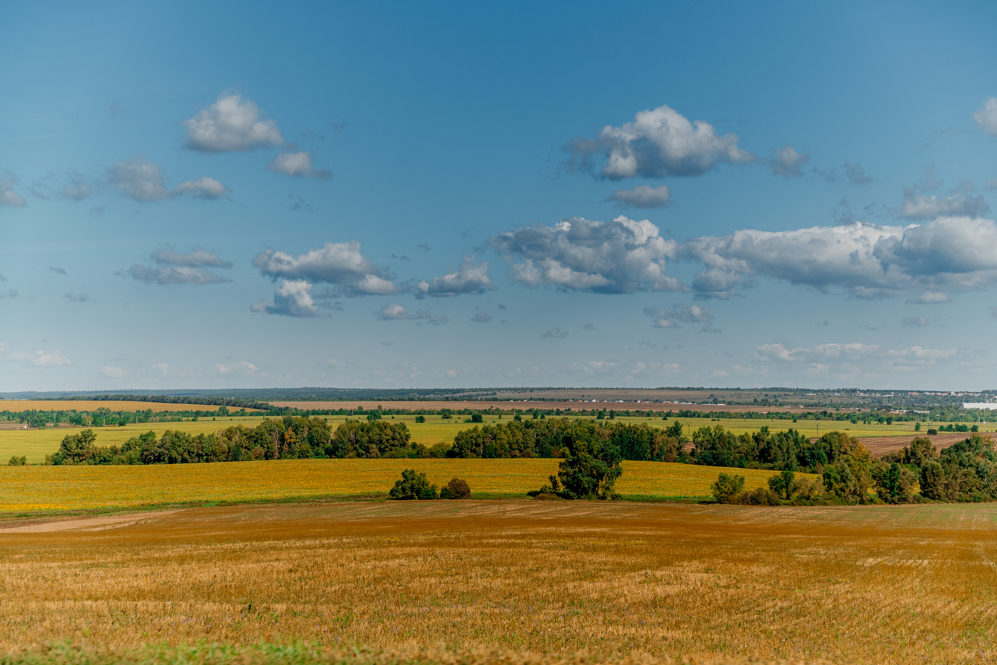 Где-то между Самарой и Тольятти - Моё, Фотография, Nikon, Самара, Тольятти, Природа, Пейзаж