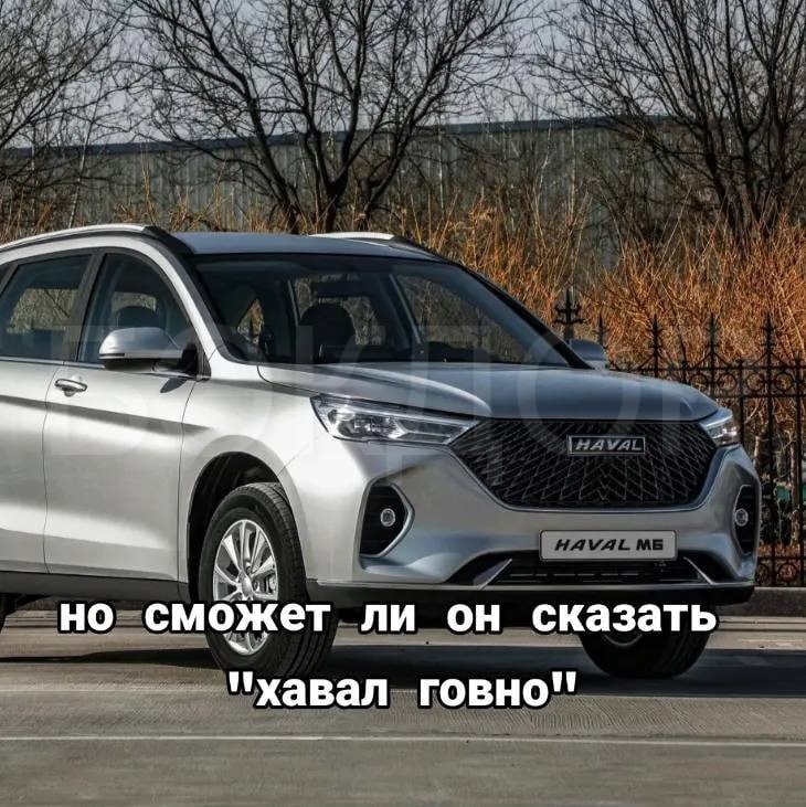 To haval or not to haval? - Picture with text, Audi, Bmw, Haval, Humor, Longpost