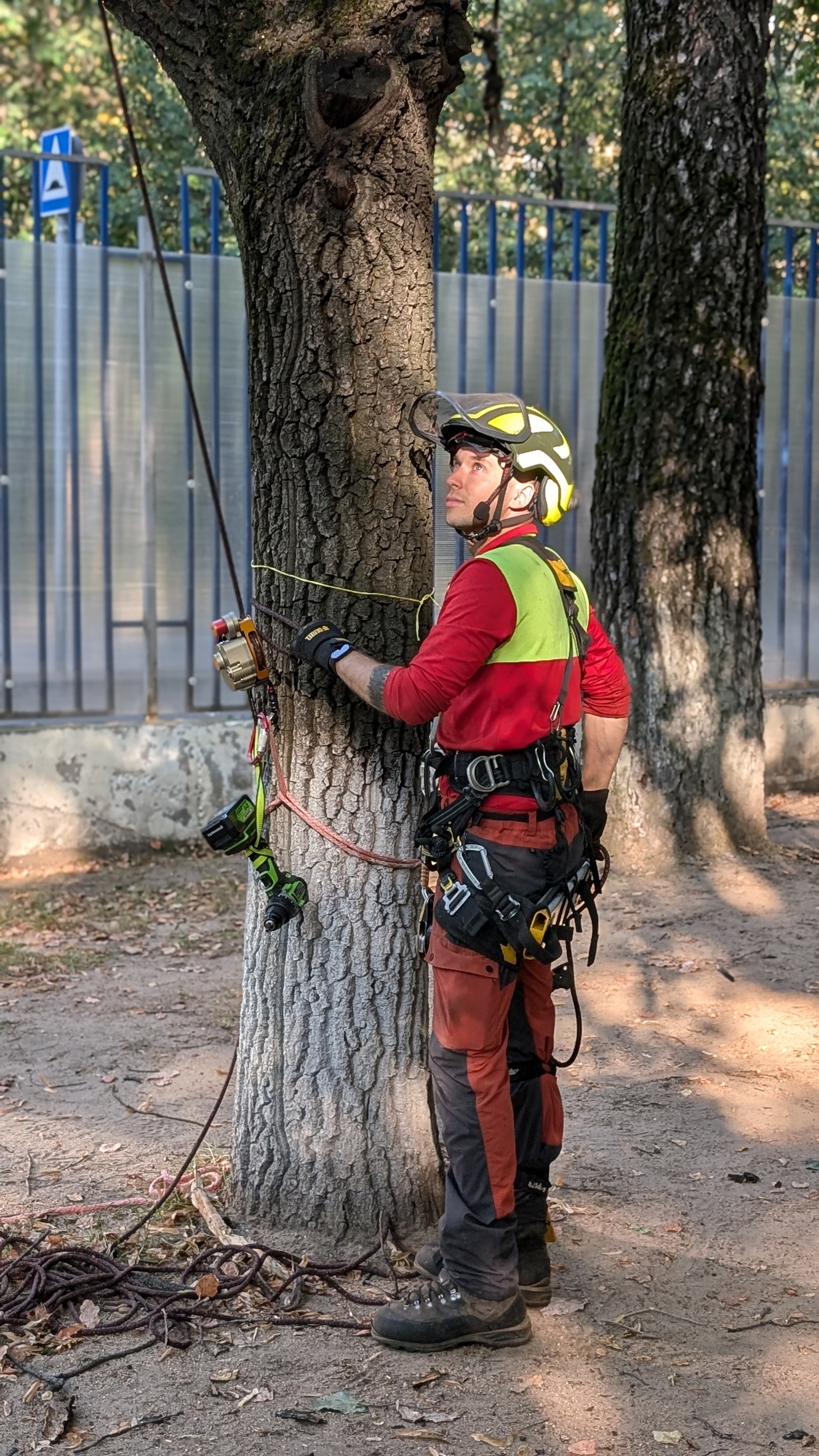 Electrojumar AWAH Z3 - My, Industrial alpinism, Arboristics, Arborist, Speleology, Mountaineering, Longpost