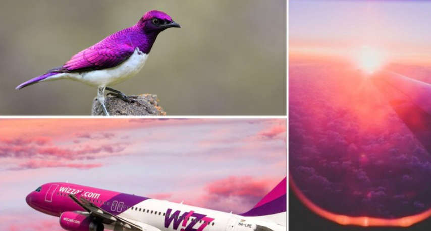 Wizz Air Flight Sale! You Can Fly Very Cheap - Moscow, Yerevan, Baku, Uzbekistan, Samarkand, Flights, Распродажа, Tourism, Travels, Discounts, Drive, Venice, Rome, Telegram (link), Yandex Zen (link), Longpost