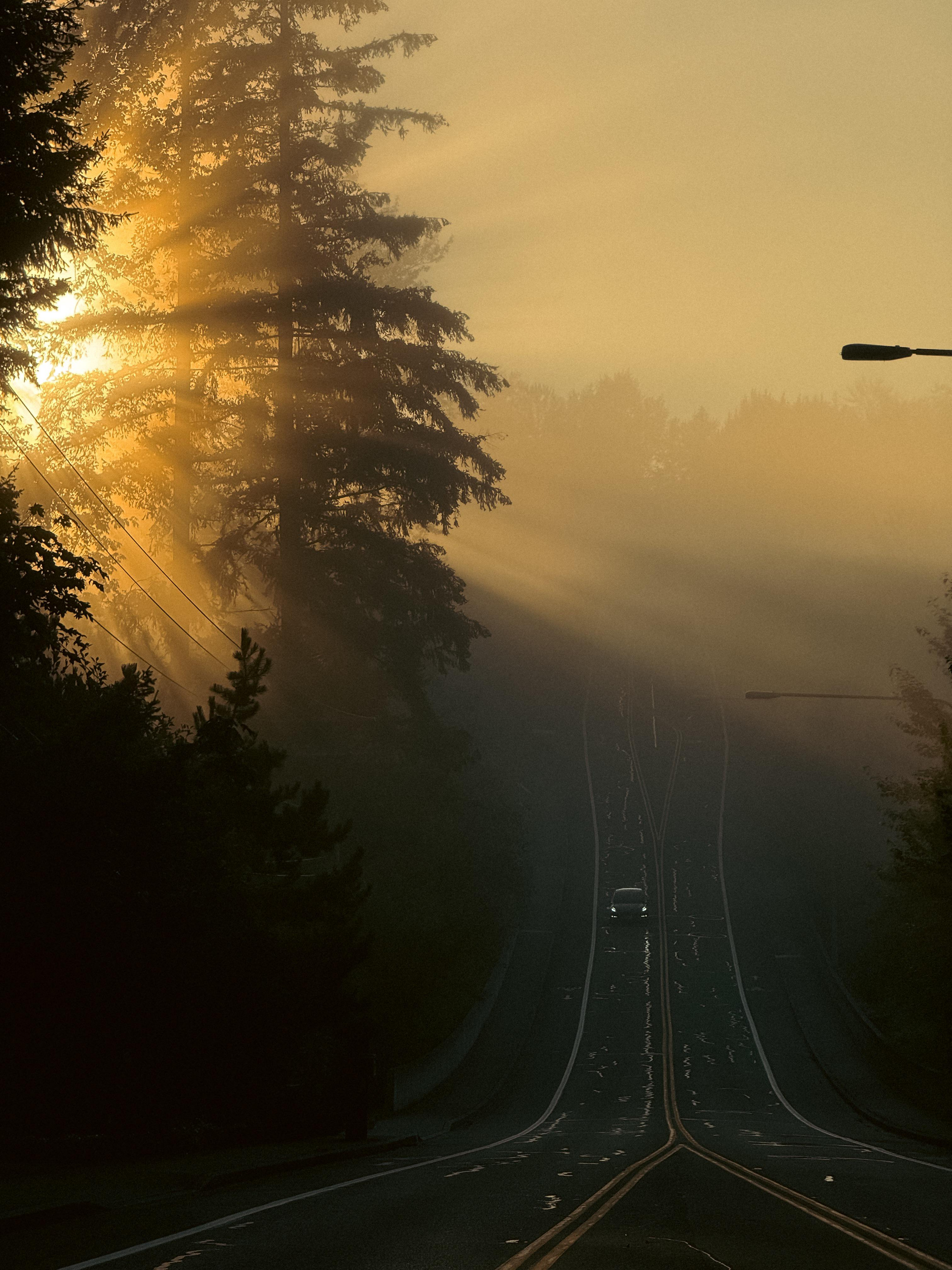 Early morning - The photo, Nature, Iphone 15, Beautiful view, dawn, Fog