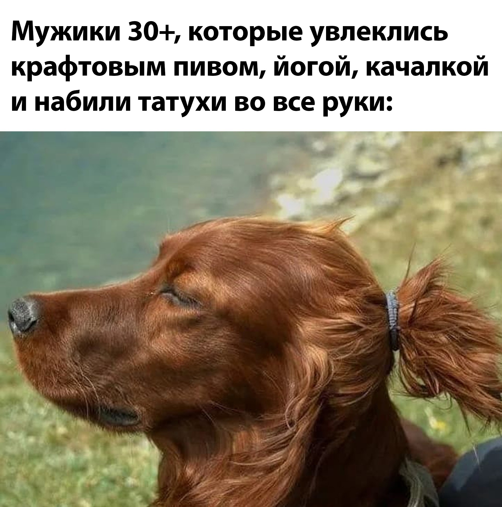 Блядь сука еби меня