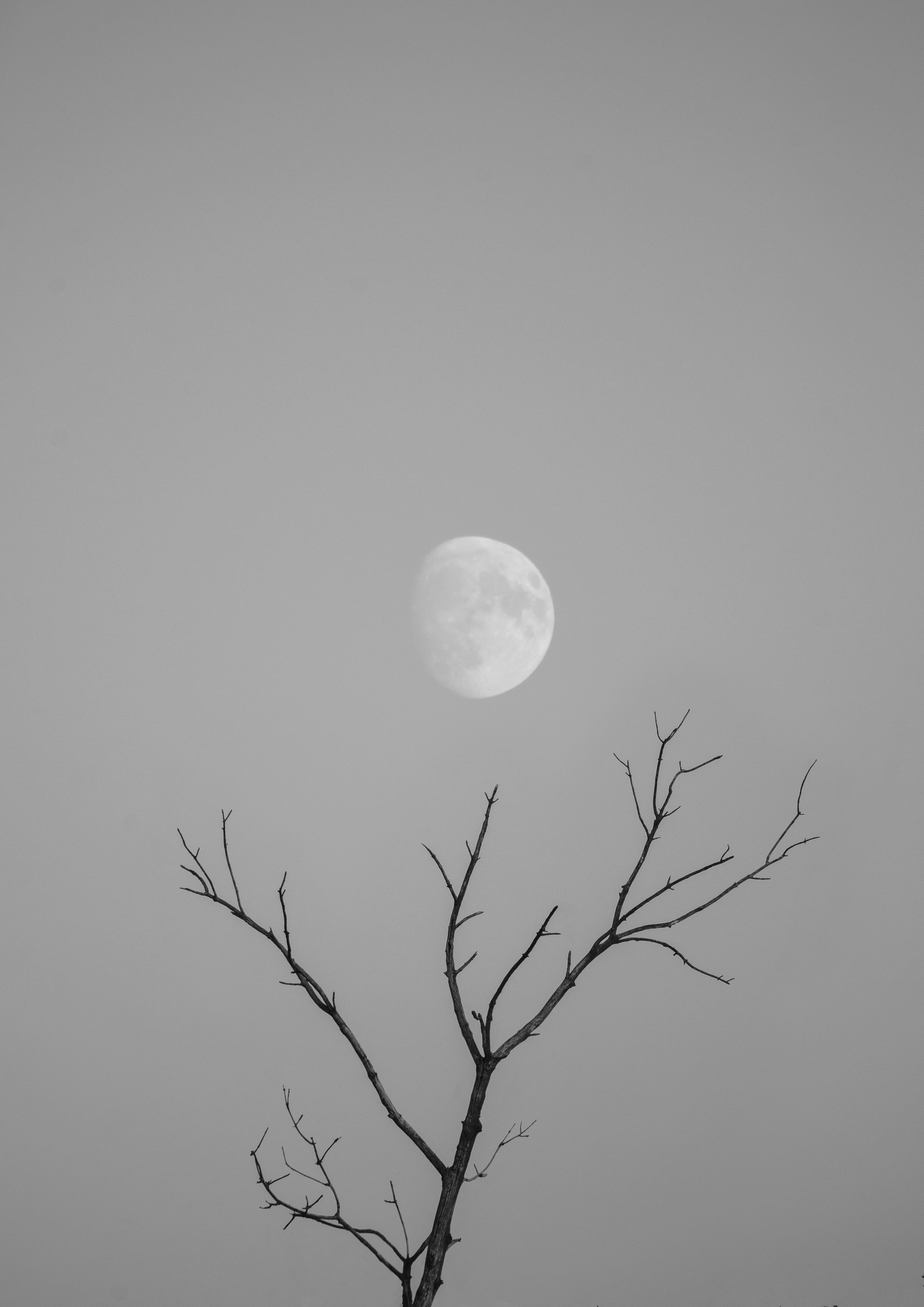 B&W and nature - My, Black and white photo, Volgograd region, Nature, Longpost