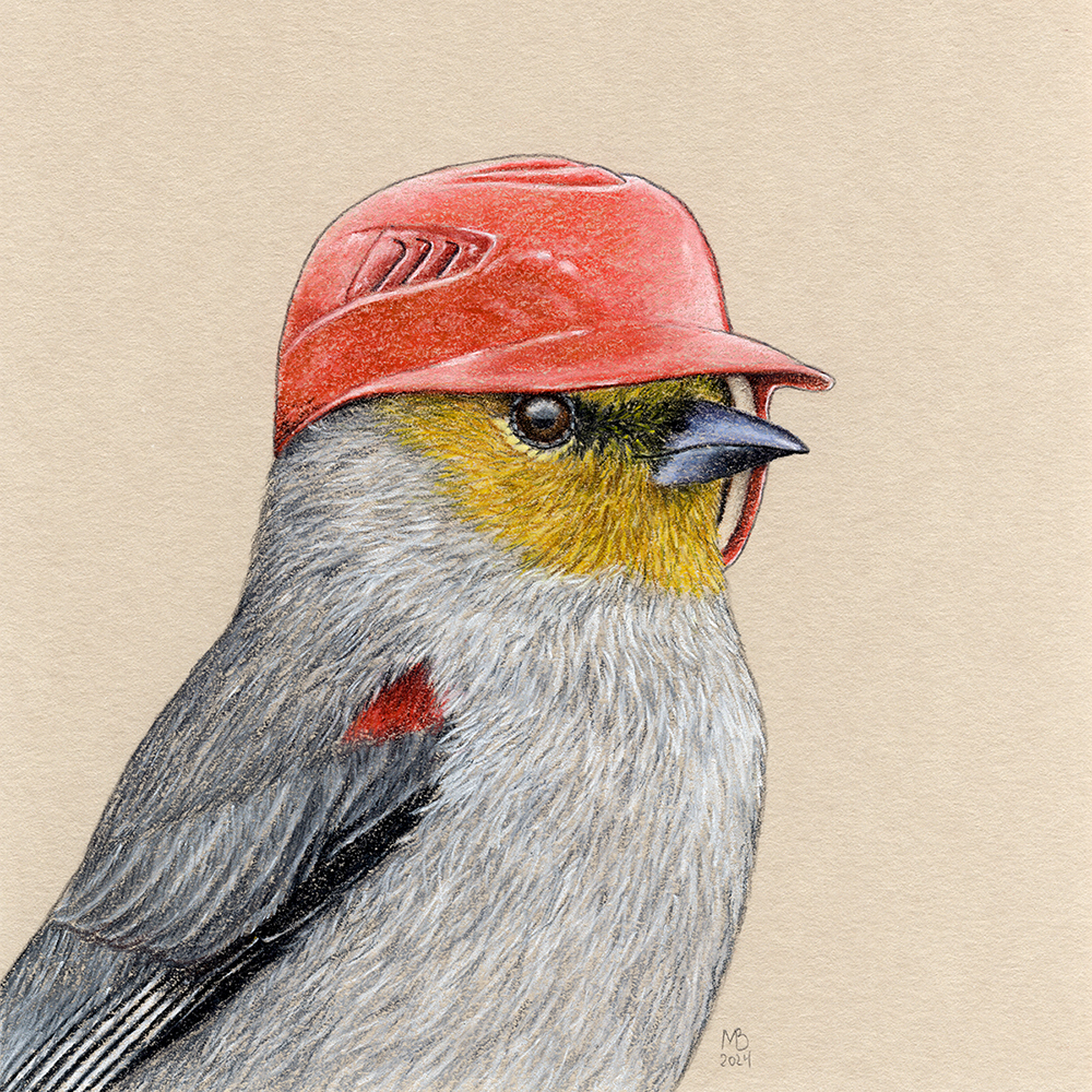 American Penduline Tit - My, Art, Drawing, Birds, Animalistics, Traditional art, Birds in hats, Pastel, Remez, Baseball