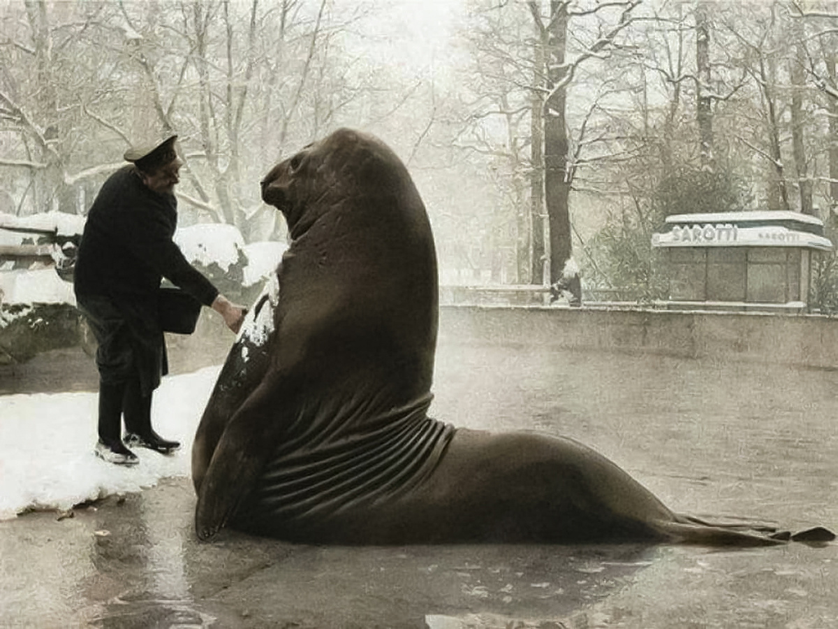 Fragments of History: Interesting and Rare Retro Photos of Europe. 20 Colorized Photos of the 20th Century. Part VI - My, Historical photo, Old photo, The photo, Colorization, Italy, Germany, France, England, Switzerland, Netherlands (Holland), 20th century, Great Britain, Europe, Longpost