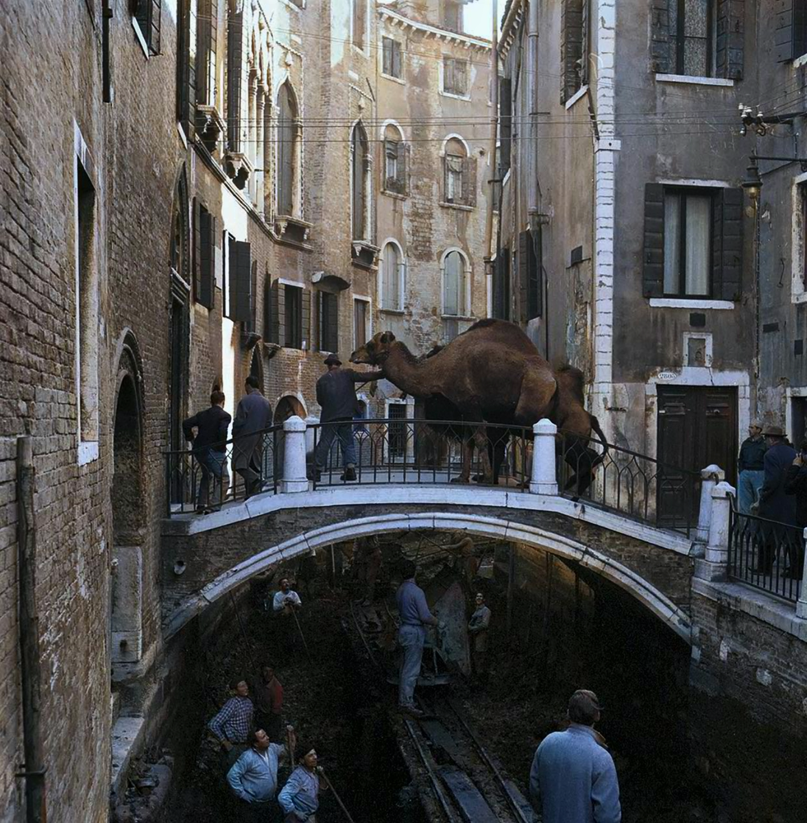 Fragments of History: Interesting and Rare Retro Photos of Europe. 20 Colorized Photos of the 20th Century. Part VI - My, Historical photo, Old photo, The photo, Colorization, Italy, Germany, France, England, Switzerland, Netherlands (Holland), 20th century, Great Britain, Europe, Longpost