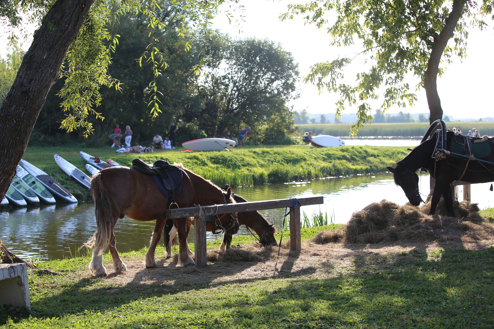 Tourist attraction of Ryazan region - Ryazan Oblast, Tourism, Travel across Russia, Longpost