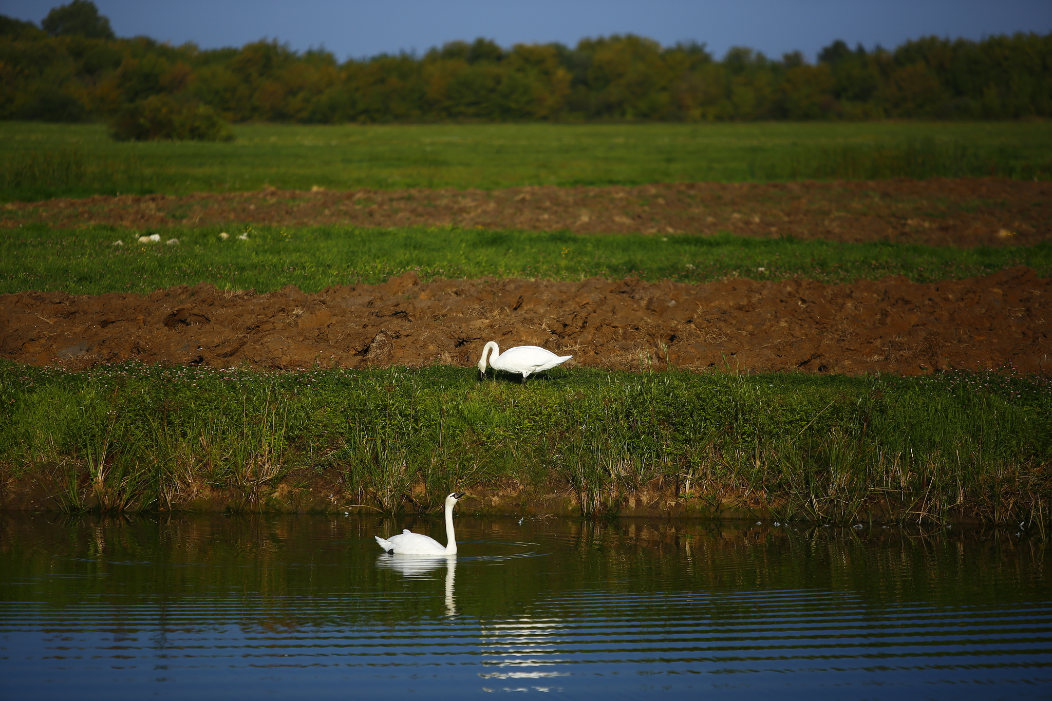 Tourist attraction of Ryazan region - Ryazan Oblast, Tourism, Travel across Russia, Longpost