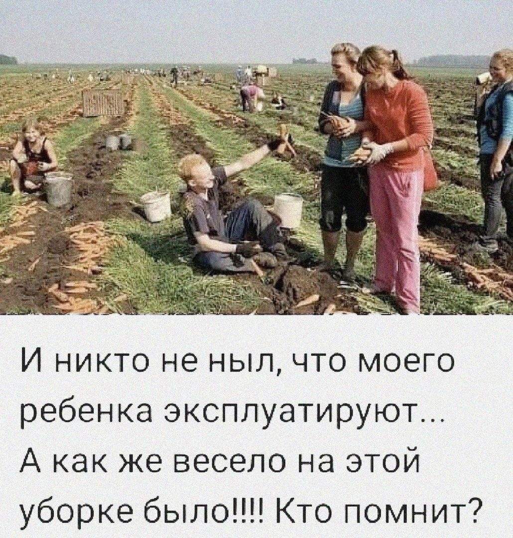 Remember the field practice? - My, Memories, Nostalgia, the USSR, Village, Village, Potato, Picture with text