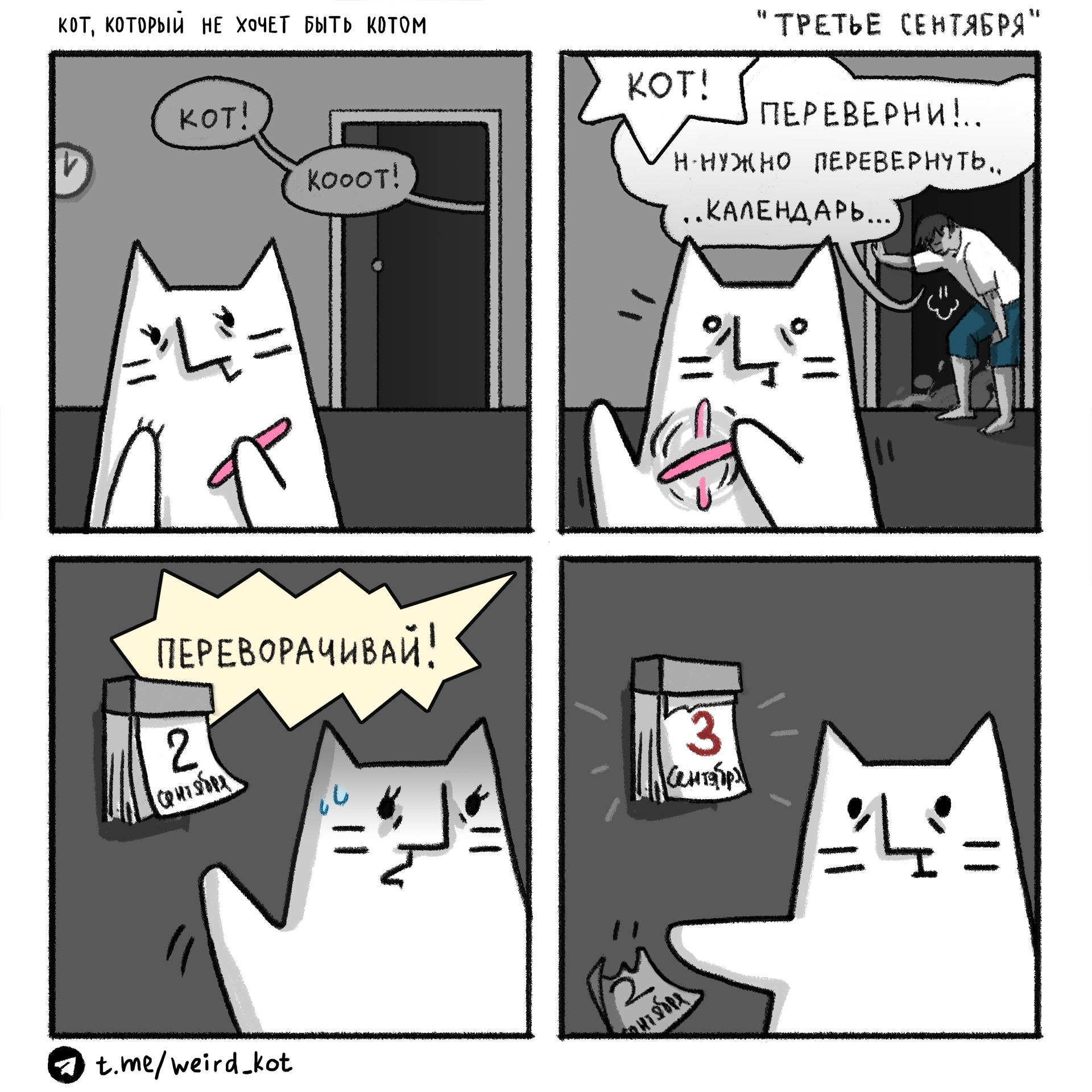 Comic about Cat #94 September 3 - My, Weird_Tanya comics, Author's comic, Comics, cat, Humor, September 3, Mikhail Shufutinsky, Autumn, Holidays