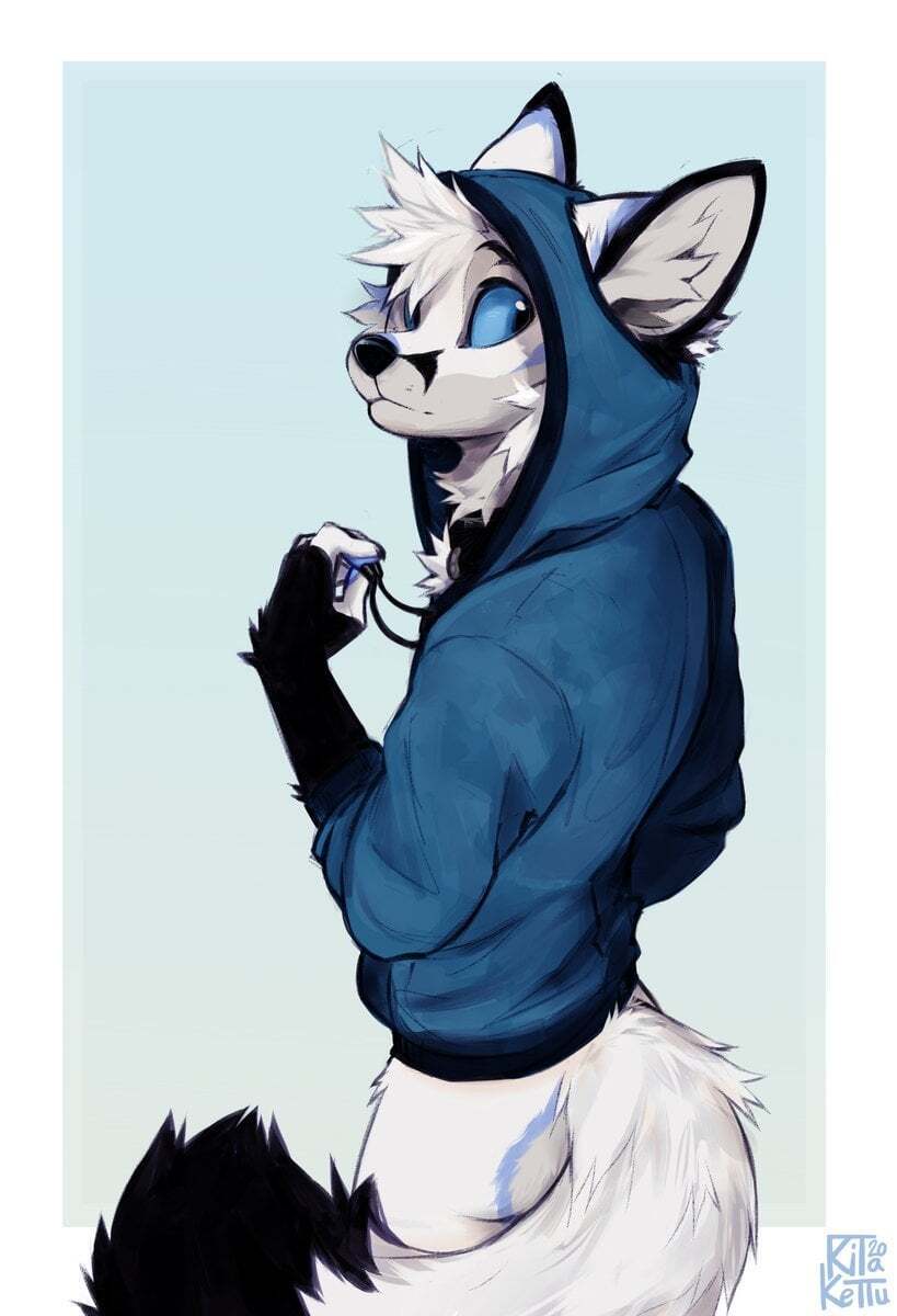 A minute showing fursona KitaKettu - Furry, Furry art, Furry fox, Furry dog, Furry lion, Kitakettu, Fursjoot, Furson, Twitter (link), Link, Telegram (link), Longpost