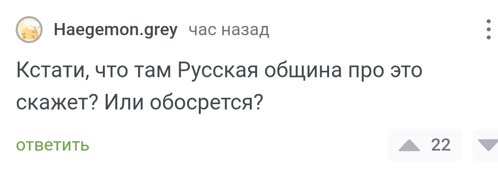 Про Русскую Общину и юмористов - Моё, Мигранты, Русская Община (общественная организация), Мат, Комментарии на Пикабу, Двойные стандарты, Негатив, Диаспора, Несправедливость, Политика, Скриншот