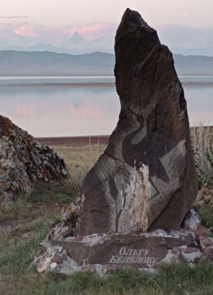 The Treasure of Lake Tuzkol - My, Rare view, The mountains, Kazakhstan, Birds, Cranes, Longpost, The photo, Nature