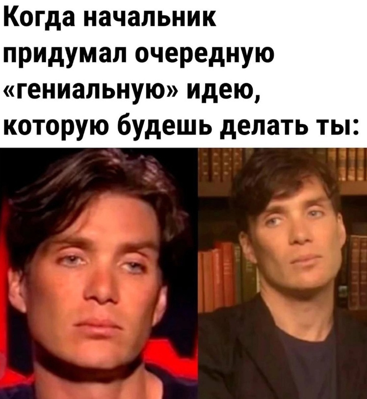 Idea - Humor, Picture with text, Memes, Work, Cillian Murphy, Telegram (link)