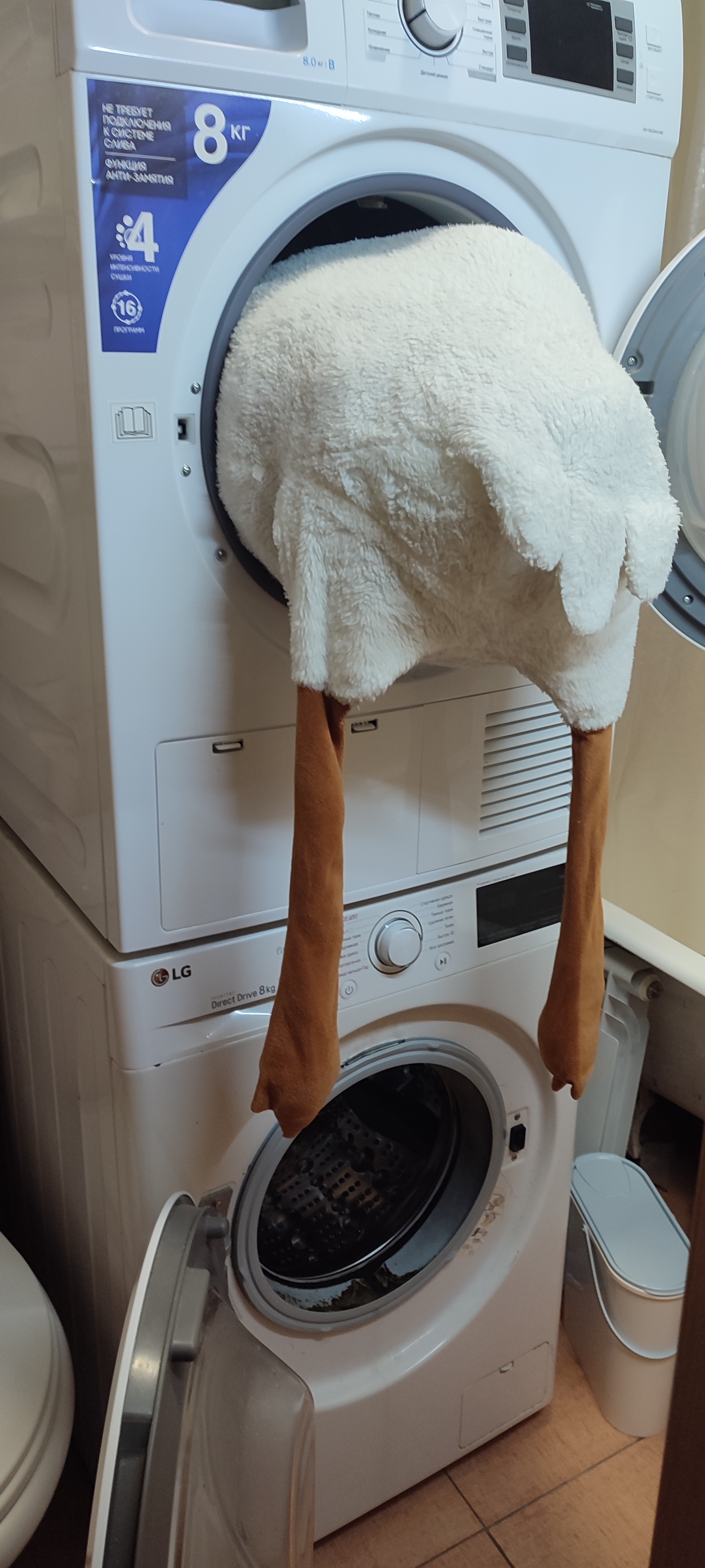 Are you stuck??? - My, Гусь, Stuck, Washing machine, Tumble dryer, Wife, Humor, Longpost