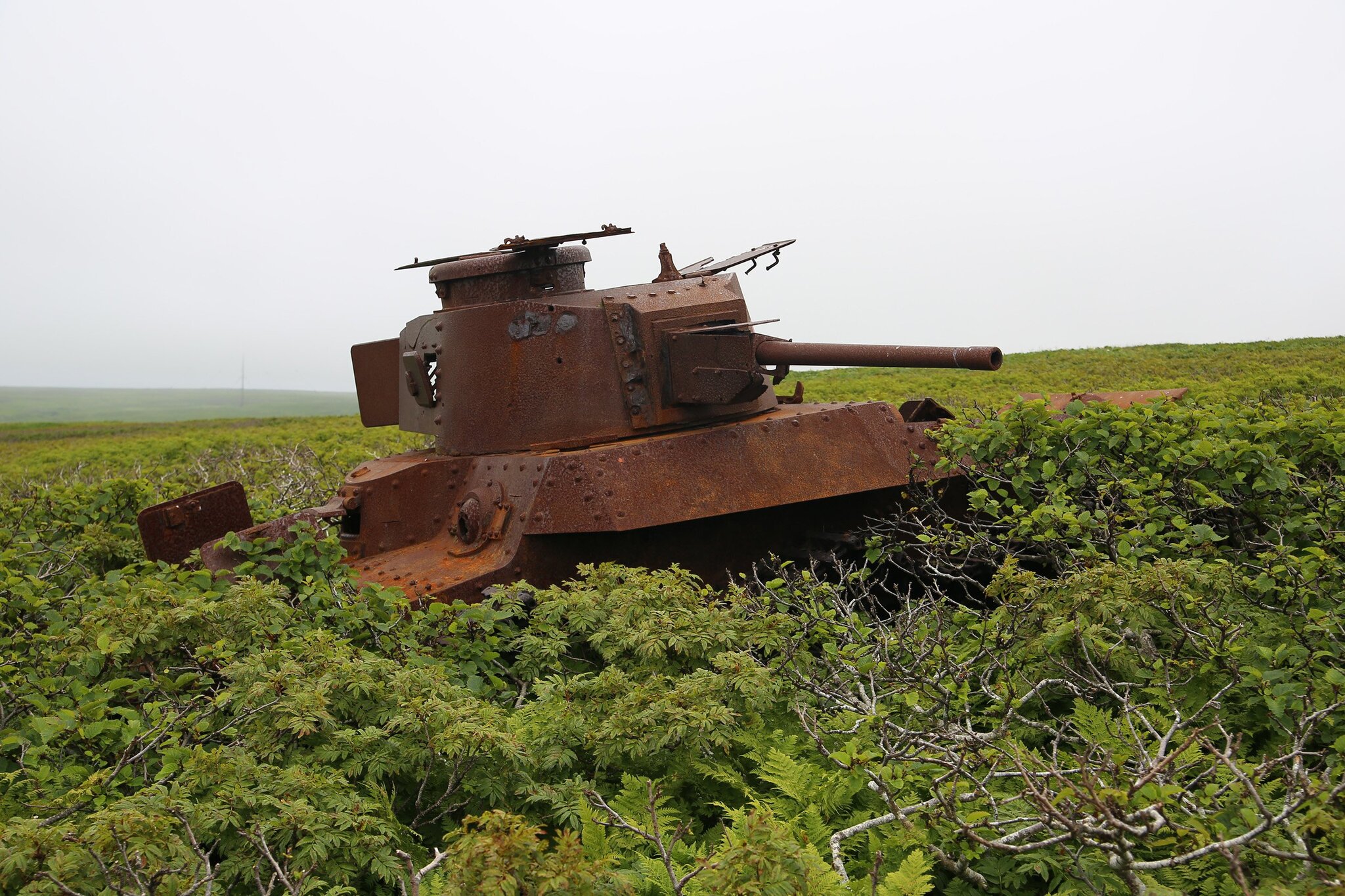 Counterattack by the Japanese 11th Tank Regiment on August 18, 1945. Shumshu Island - Military history, The Second World War, Tanks, Military equipment, Kurile Islands, Armament, The soldiers, the USSR, Japan, Soviet-Japanese War, Longpost