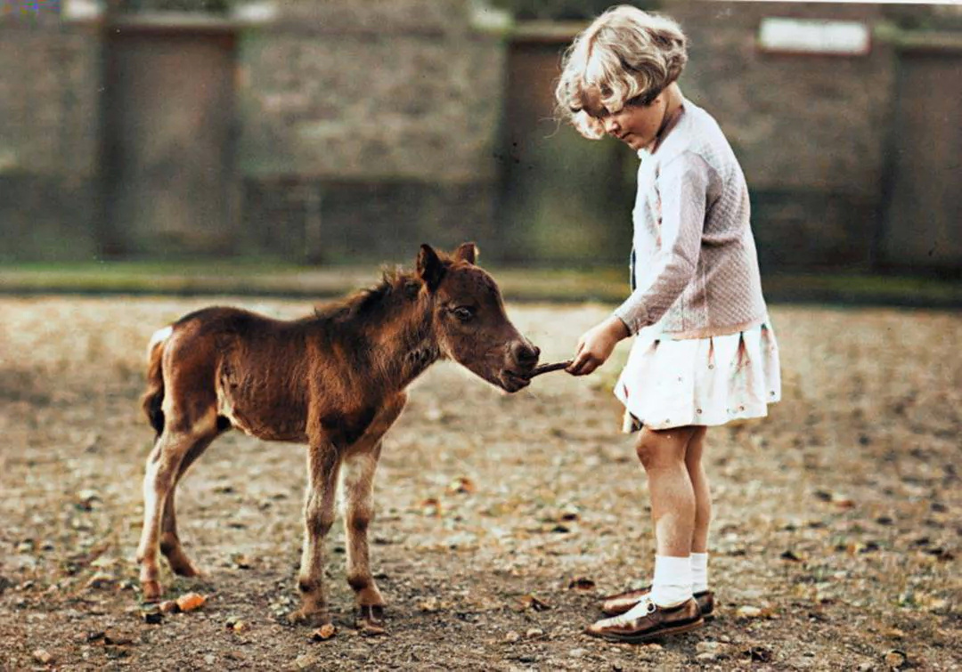 Любопытные фотографии из прошлого Великобритании. 20 раскрашенных фотографий ХХ века. Часть V - Моё, Старое фото, Историческое фото, Фотография, Колоризация, Великобритания, 19 век, Длиннопост