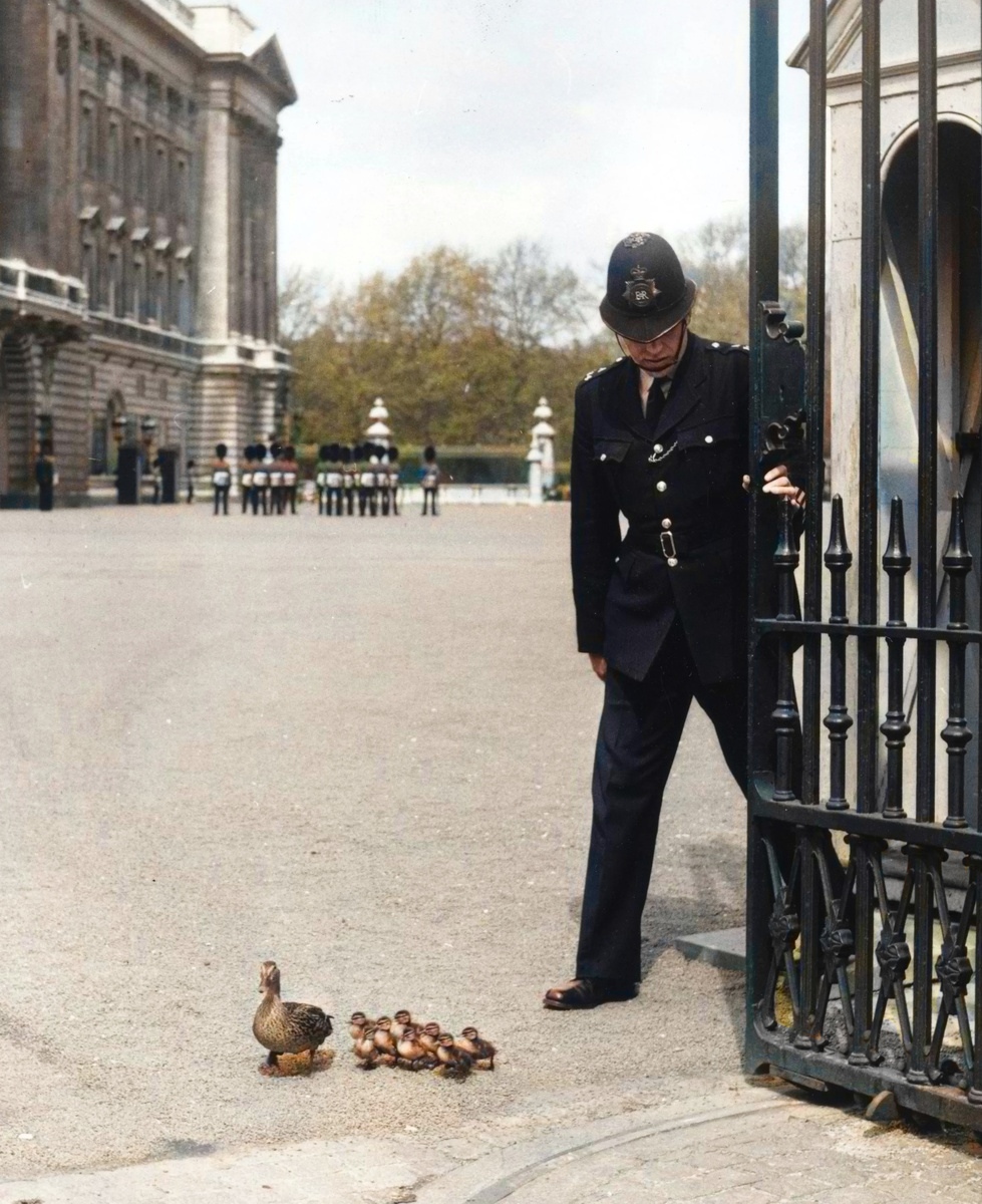 Curious Photos from Britain's Past. 20 Colorized Photographs of the 20th Century. Part V - My, Old photo, Historical photo, The photo, Colorization, Great Britain, 19th century, Longpost