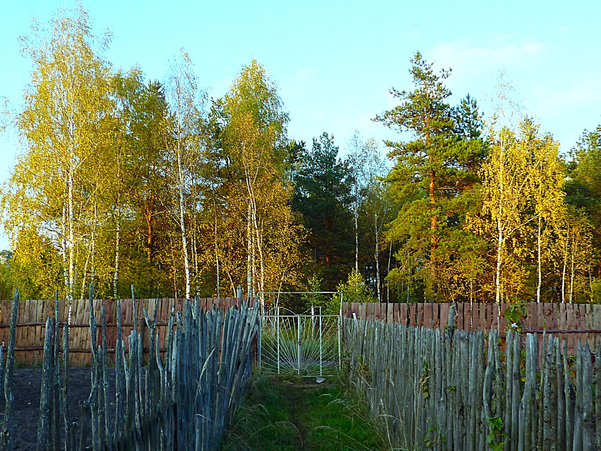 It's autumn outside - My, The photo, Walk, Landscape, Nature