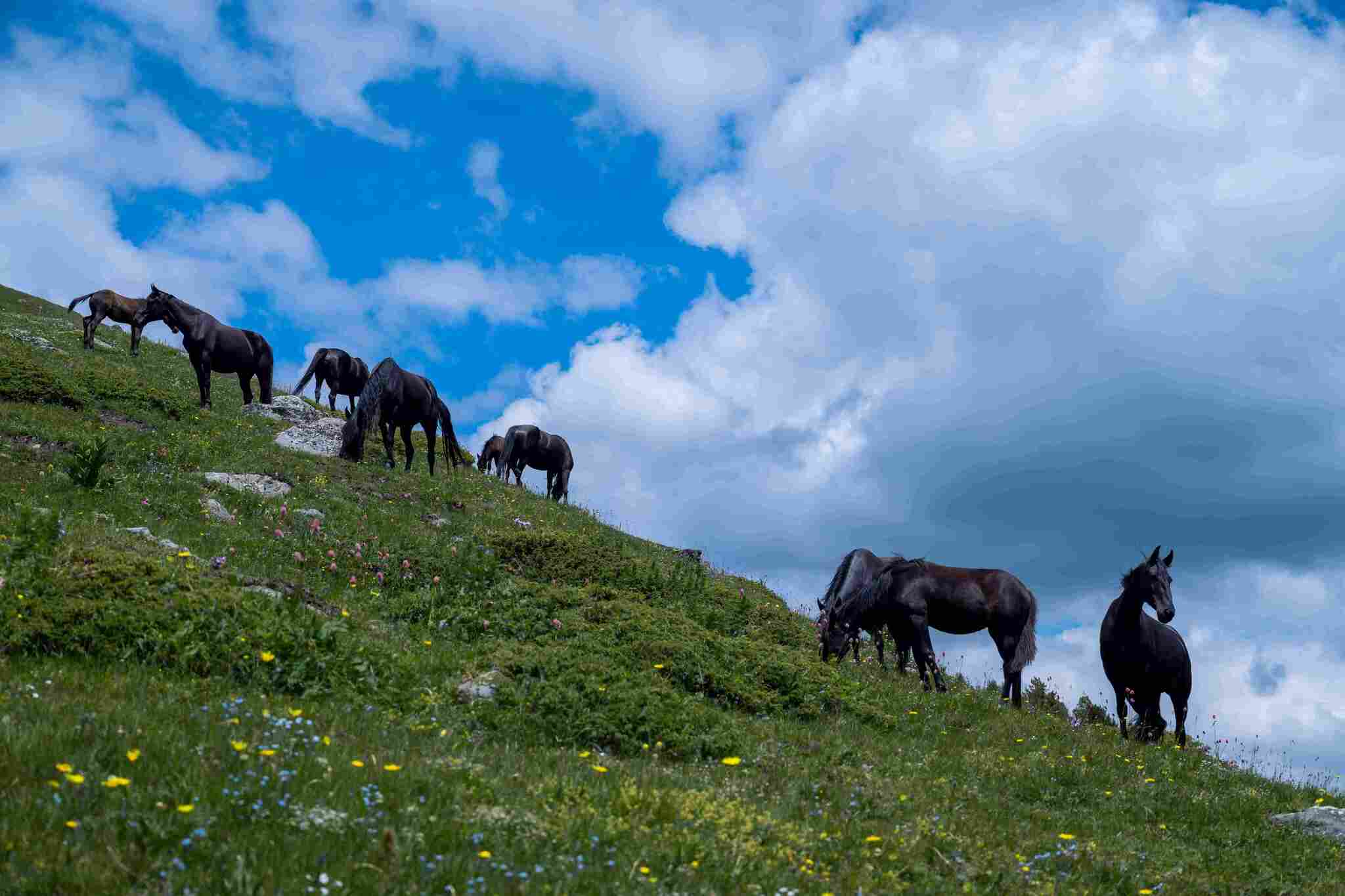 The only thing better than mountains is mountains... - My, Glotov, Tourism, The mountains, Arkhyz, Caucasus, Longpost, The photo