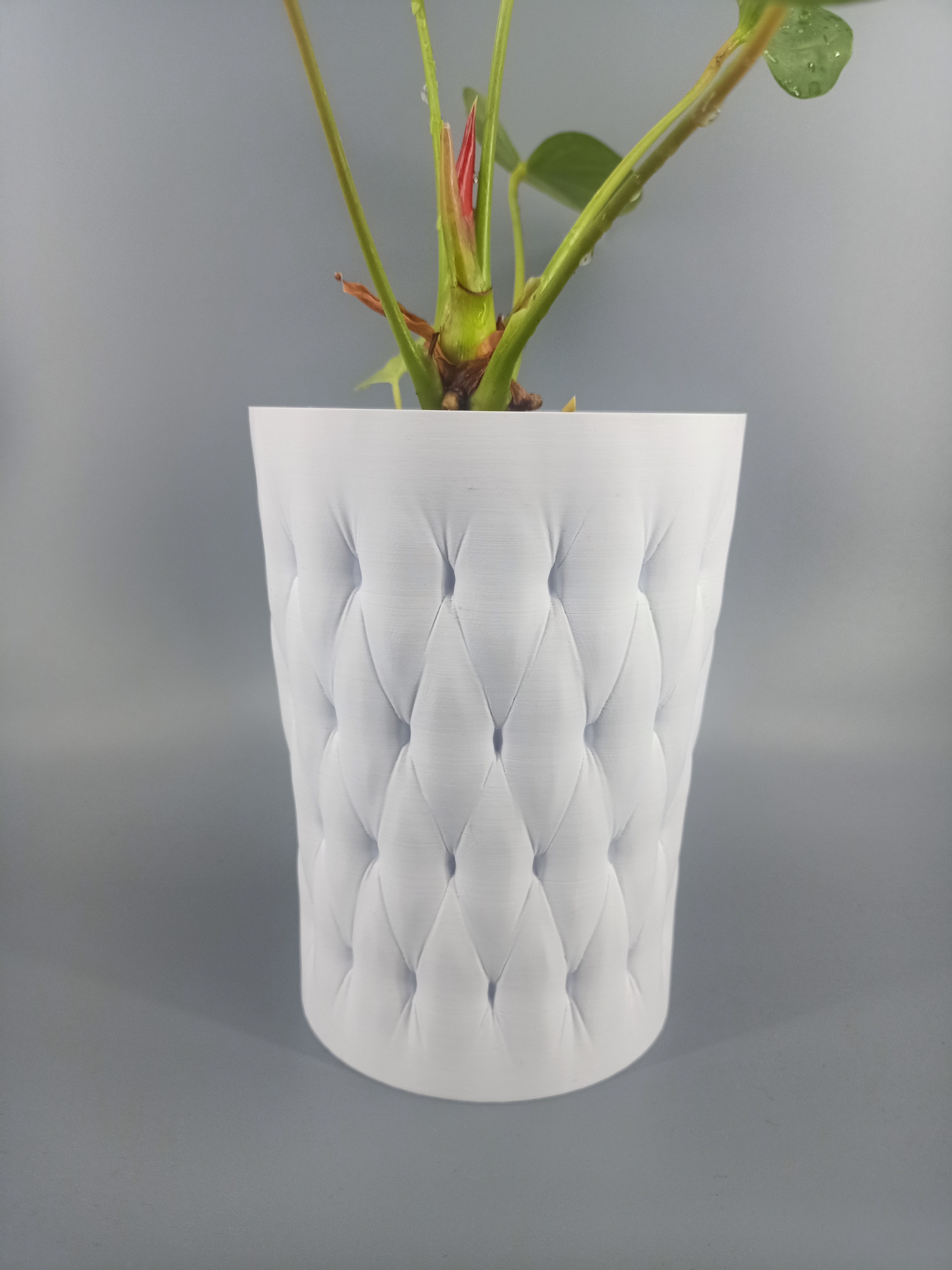 Flowerpot for a disposable cup with a capacity of 0.5 l - My, Plant pot, Houseplants, Decor, 3D печать, Anthurium, Video, Soundless, Vertical video, Longpost