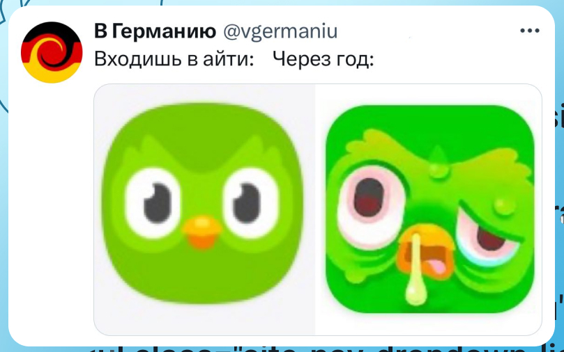 Это всё созвоны - IT юмор, IT, Duolingo, Скриншот, Было-Стало