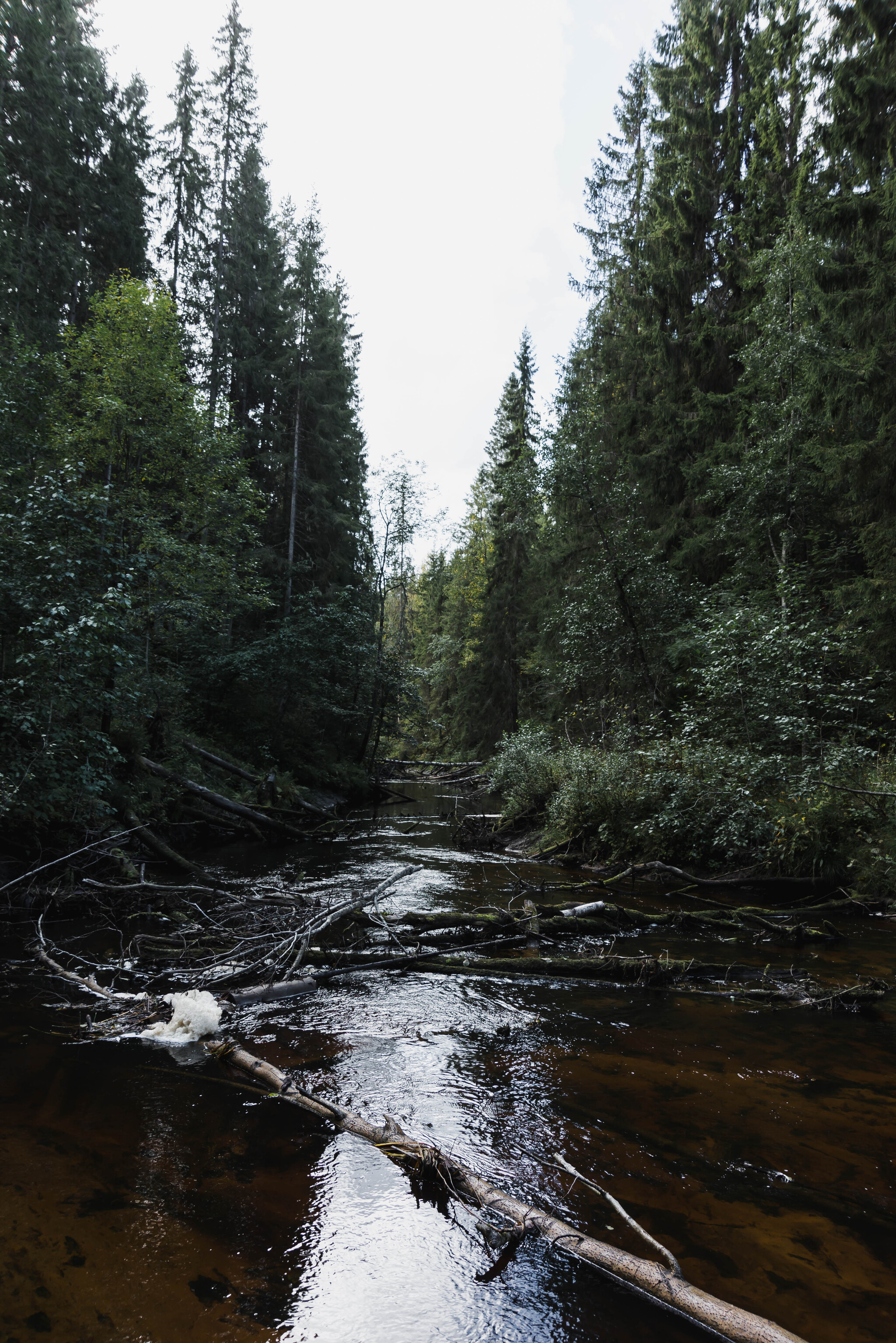 Карелия - Моё, Фотография, Пейзаж, Путешествия, Закат, Карелия, Россия, Длиннопост