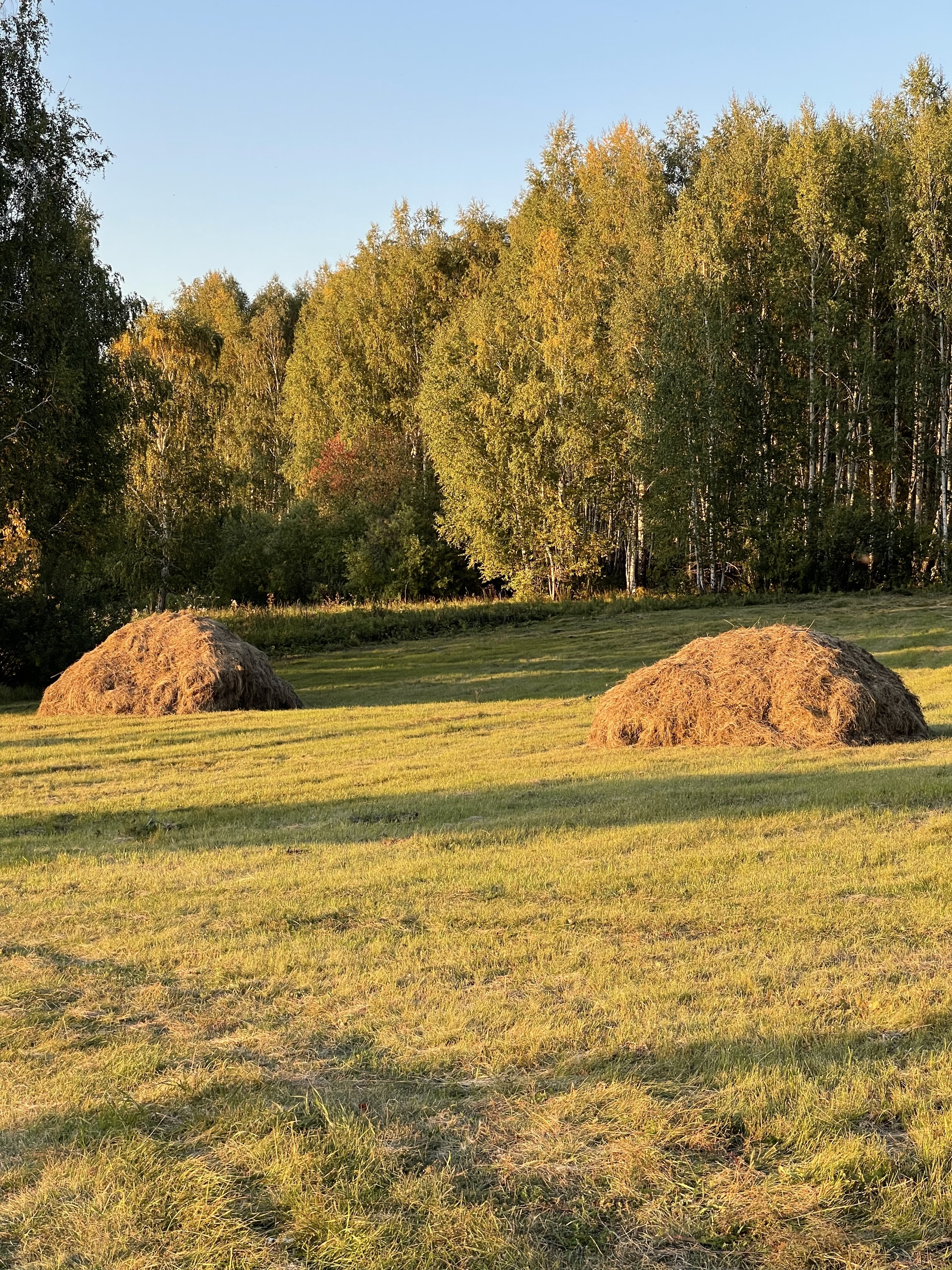 И я поною - Моё, Саня и Марина, Жизнь, Длиннопост