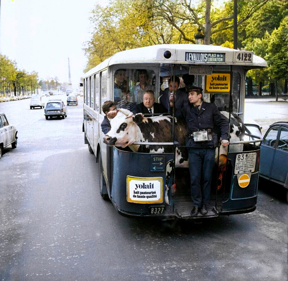 Fragments of History: Interesting and Rare Retro Photos of Europe. 20 Colorized Photos of the 20th Century. Part VII - My, Historical photo, Old photo, France, Norway, Sweden, Germany, Netherlands (Holland), Spain, Italy, 20th century, Colorization, Longpost