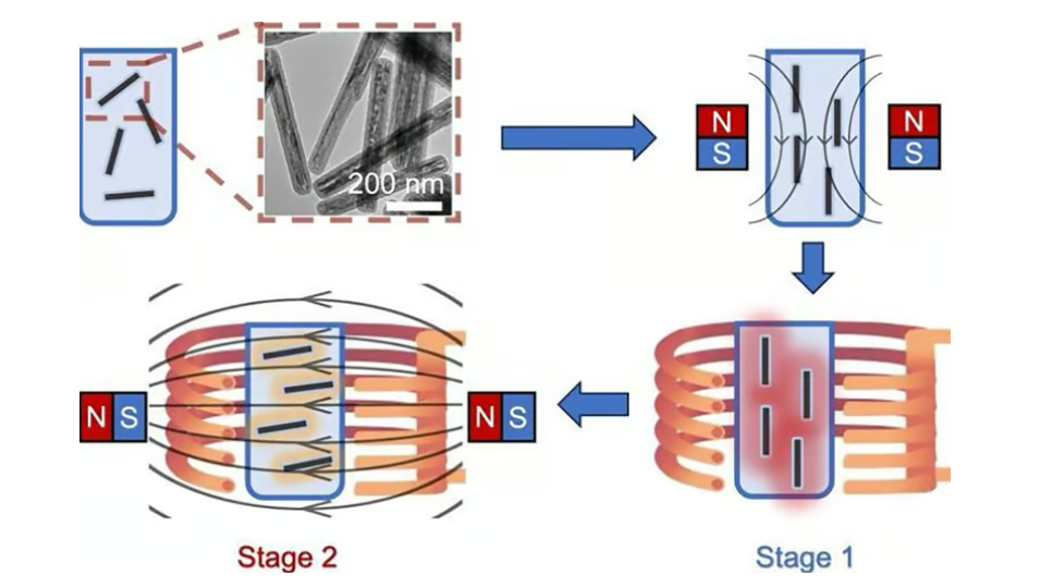 New technology for organ preservation and transplantation - My, The science, Research, Nauchpop, Experiment, Transplantation, Cryonics, Longpost