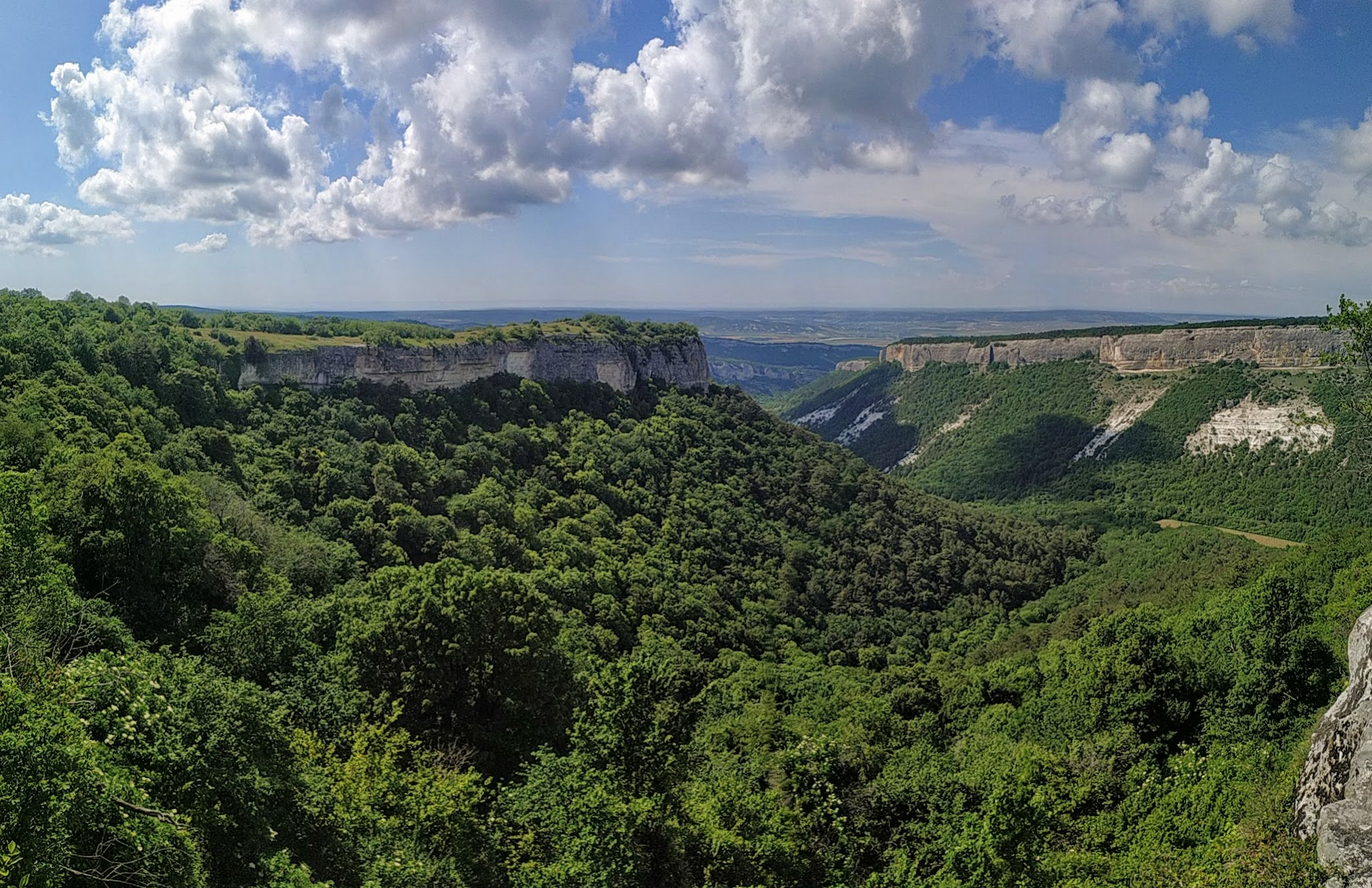 Reply to the post Kirov region - My, The photo, Nature, The nature of Russia, Crimea, Lipetsk region, Краснодарский Край, Belgorod region, Voronezh River, White Rock, Mangup-Kale, Rock Sail, Blue Abyss, Poppy, Strawberry, Water lily, Reply to post, Longpost