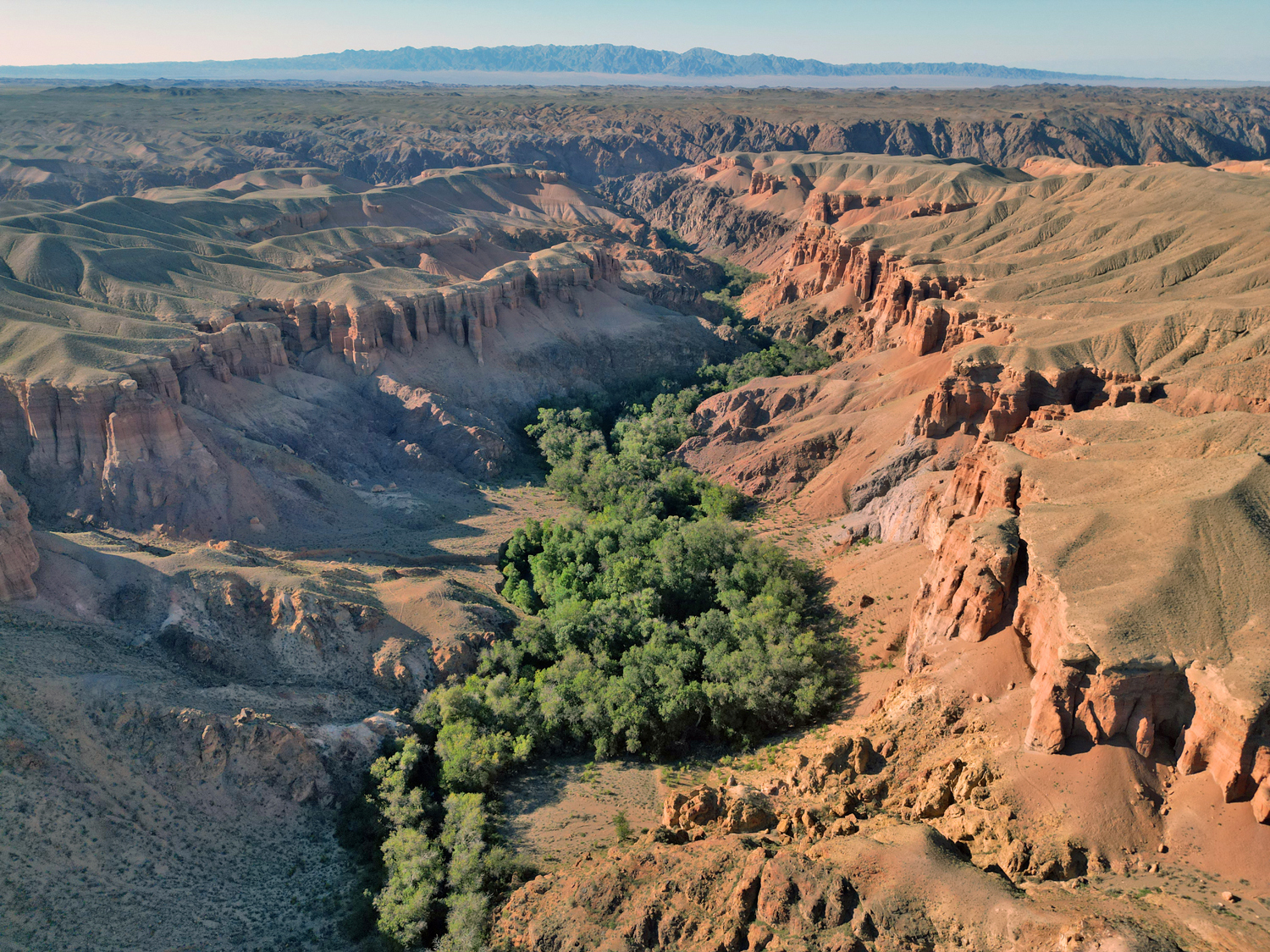 Kazakhstan - the birthplace of iron? - My, The mountains, Paleontology, Kazakhstan, Canyon, Video, Longpost