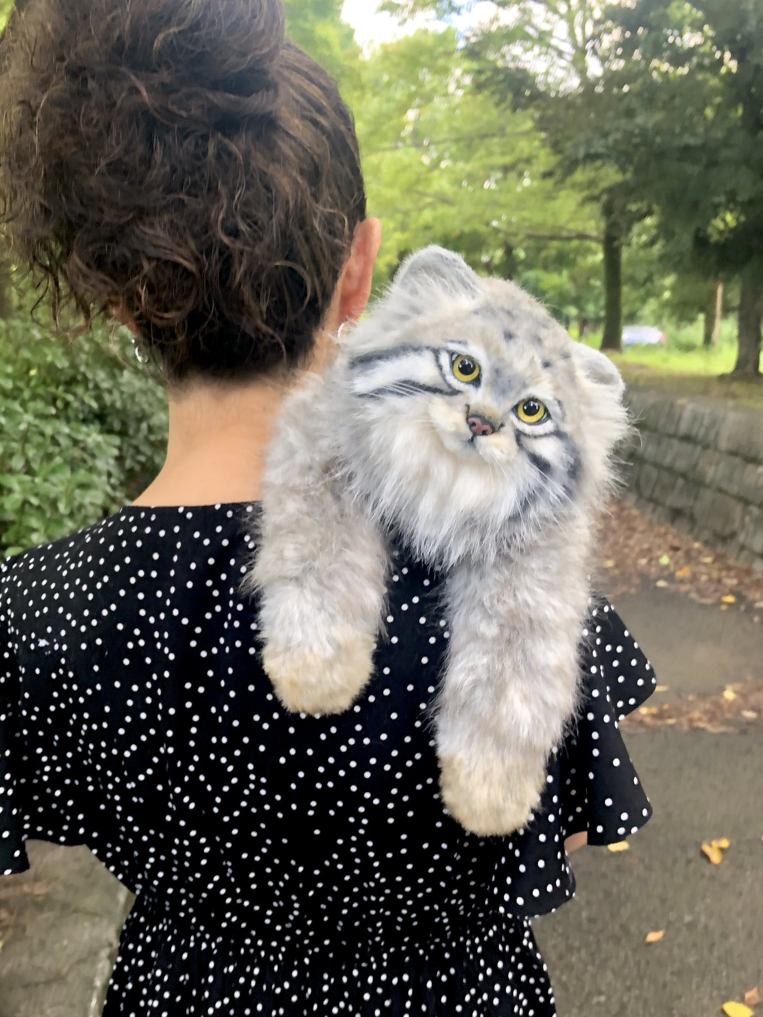 Safe manul :3 - Pallas' cat, Toys, Soft toy, Longpost