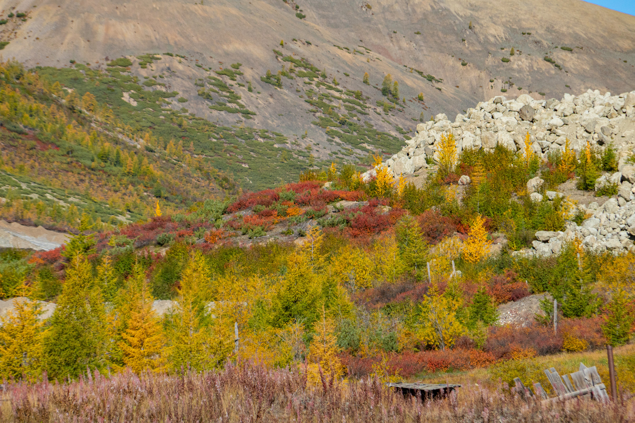 Autumn for a week - My, Travels, Kolyma, wildlife, Work, The photo, Longpost