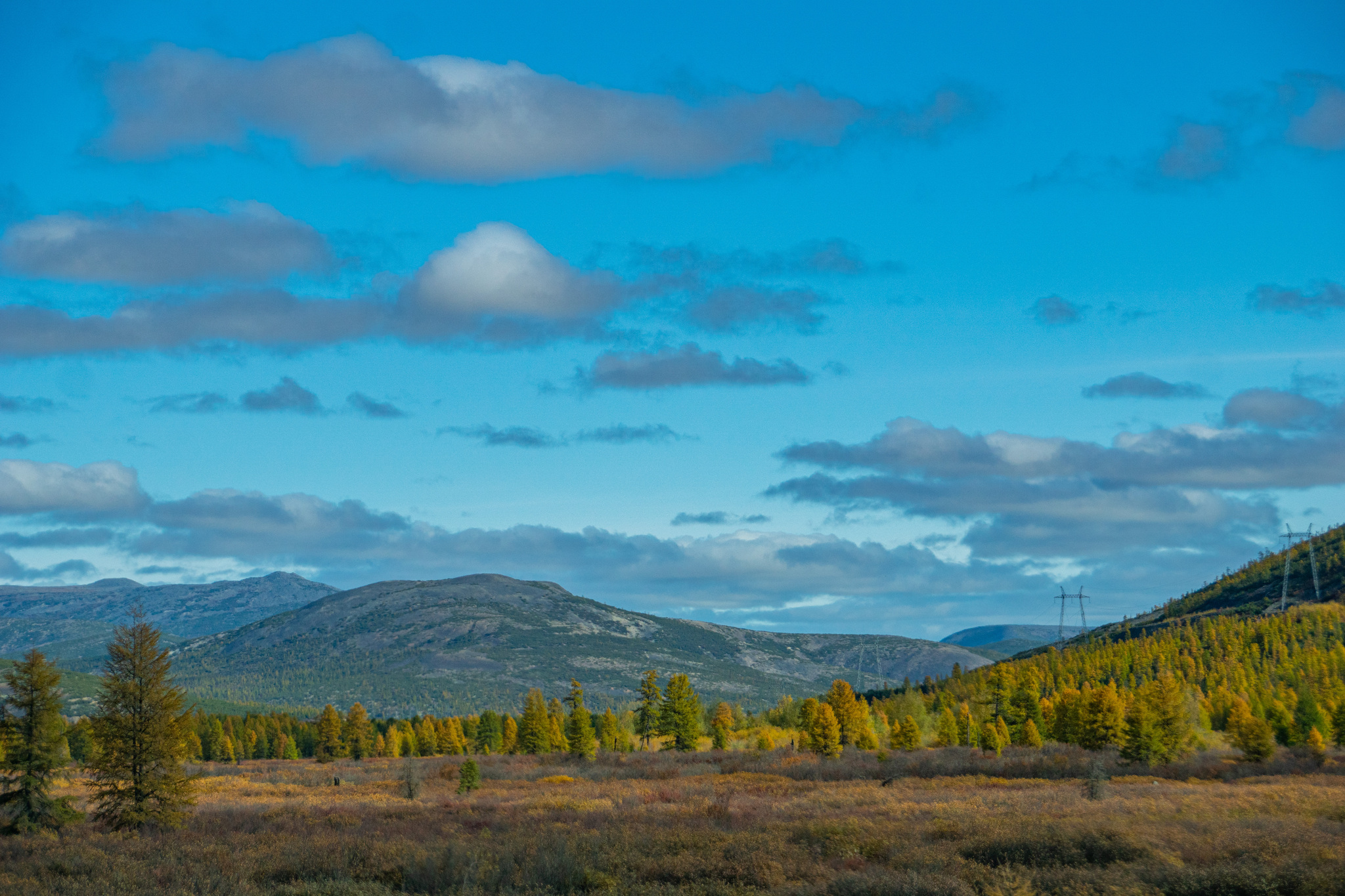 Autumn for a week - My, Travels, Kolyma, wildlife, Work, The photo, Longpost