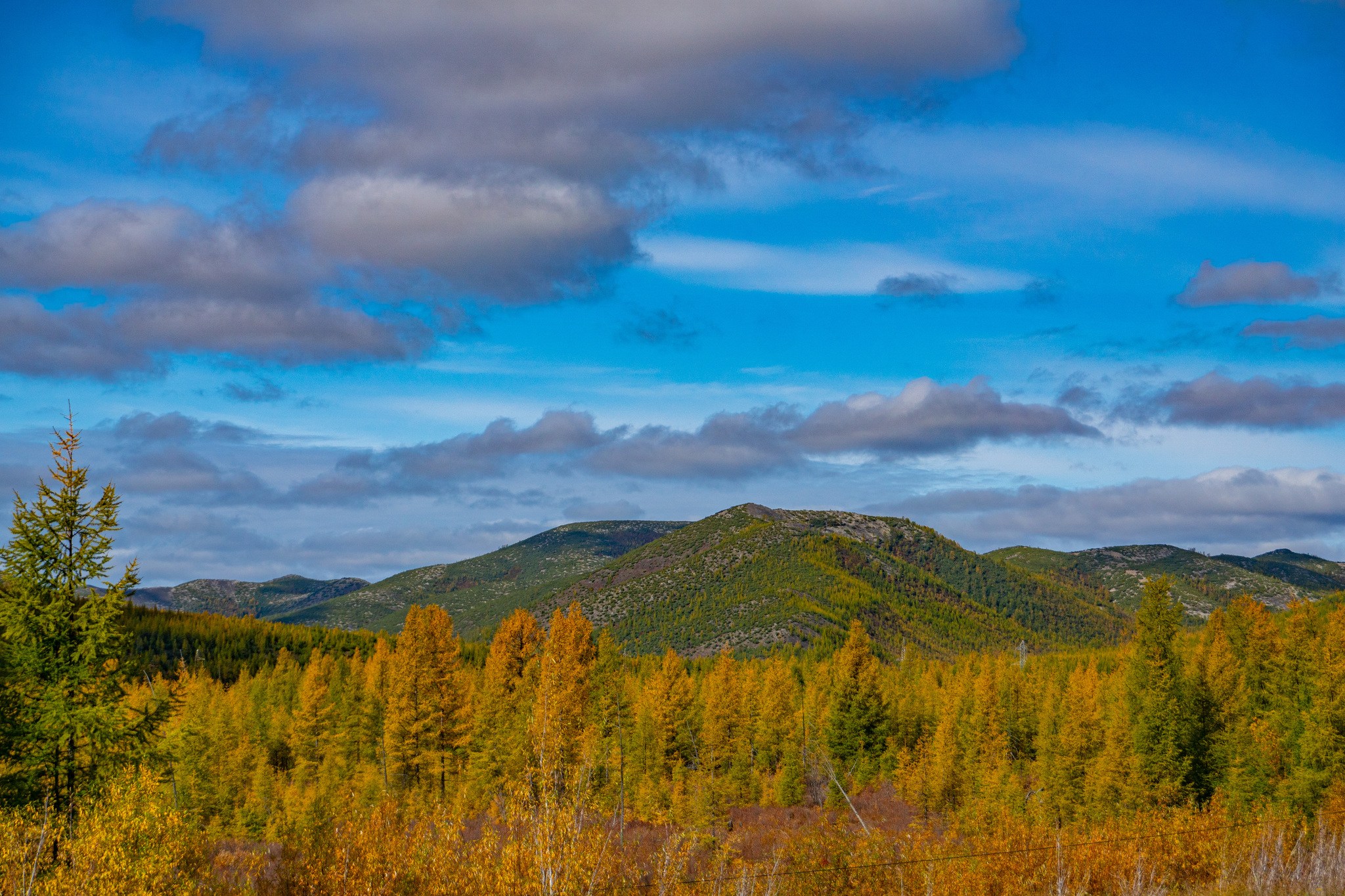 Autumn for a week - My, Travels, Kolyma, wildlife, Work, The photo, Longpost