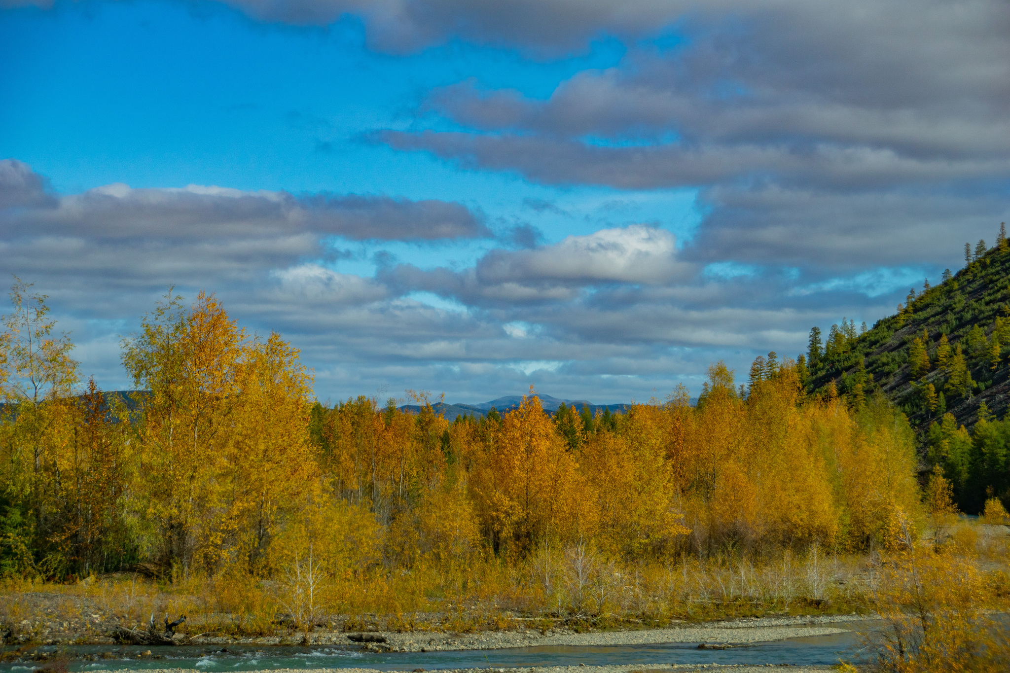 Autumn for a week - My, Travels, Kolyma, wildlife, Work, The photo, Longpost