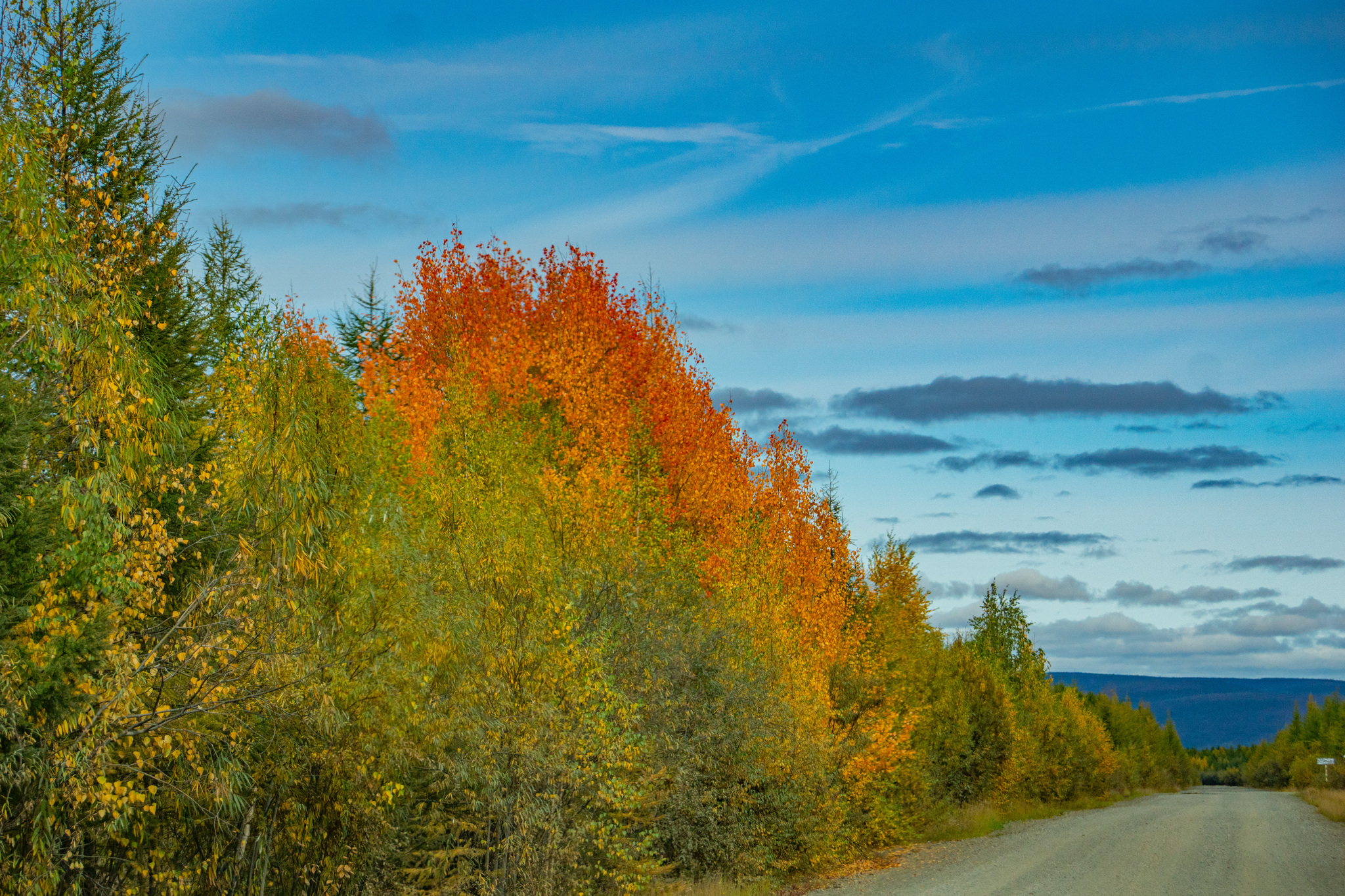 Autumn for a week - My, Travels, Kolyma, wildlife, Work, The photo, Longpost