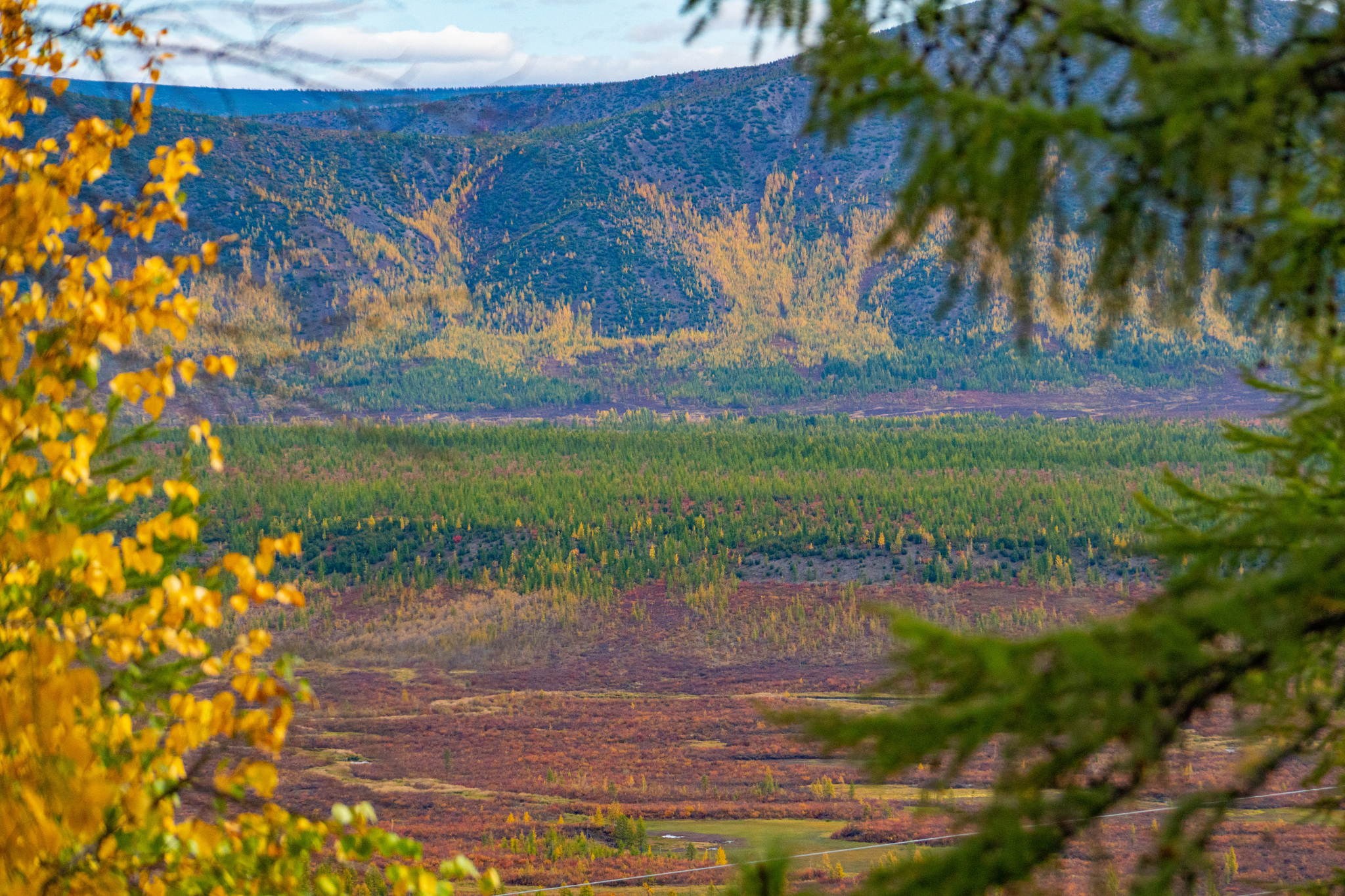 Autumn for a week - My, Travels, Kolyma, wildlife, Work, The photo, Longpost