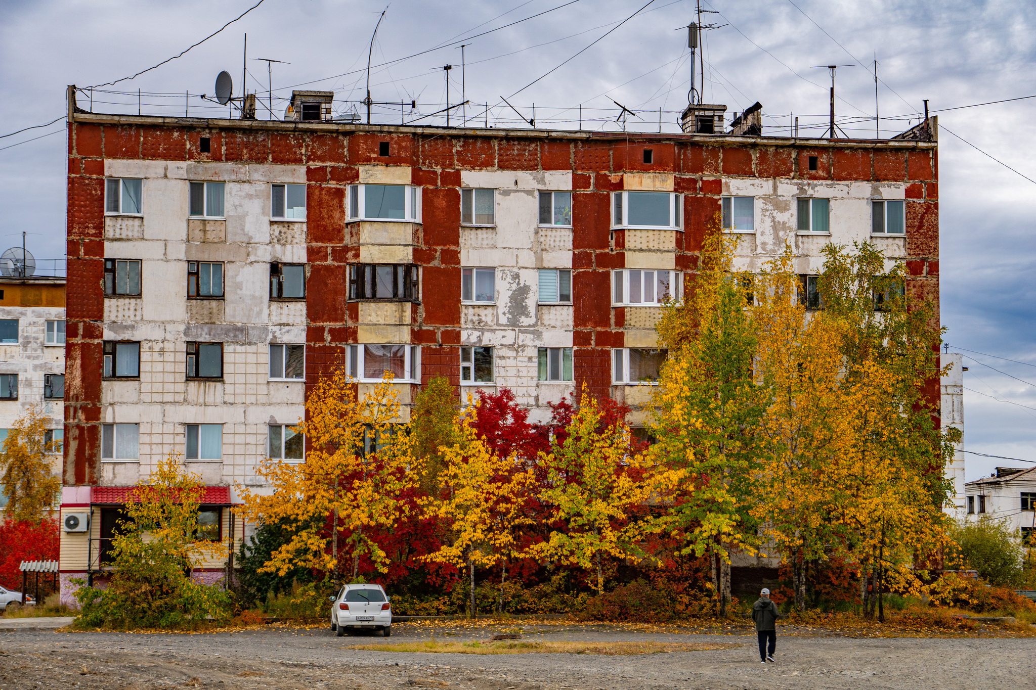 Autumn for a week - My, Travels, Kolyma, wildlife, Work, The photo, Longpost