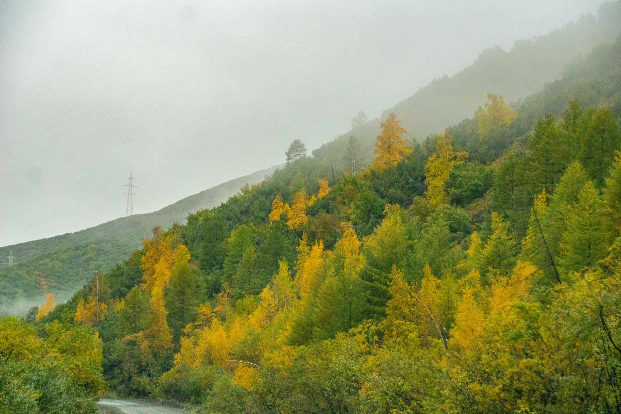 Autumn for a week - My, Travels, Kolyma, wildlife, Work, The photo, Longpost