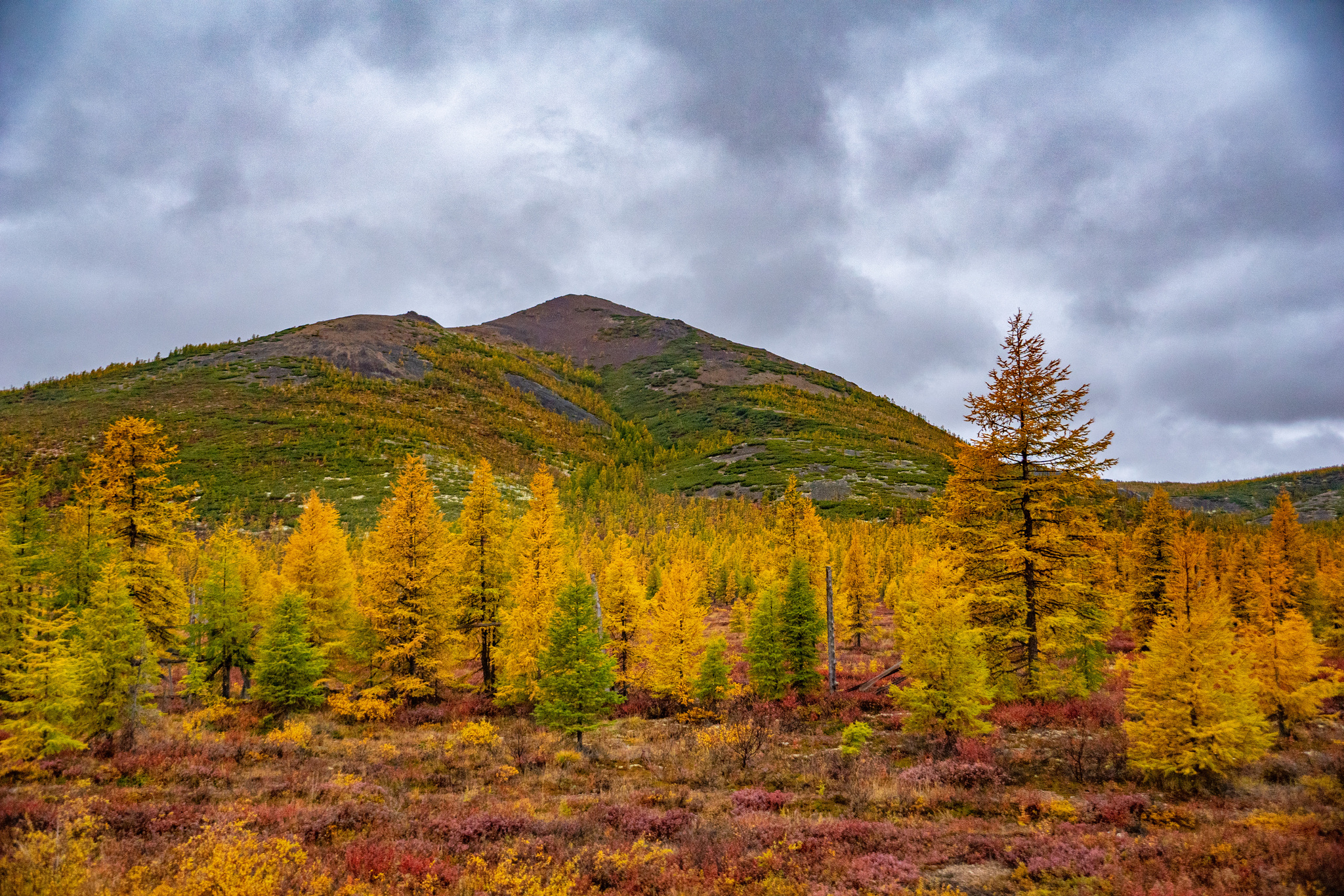 Autumn for a week - My, Travels, Kolyma, wildlife, Work, The photo, Longpost