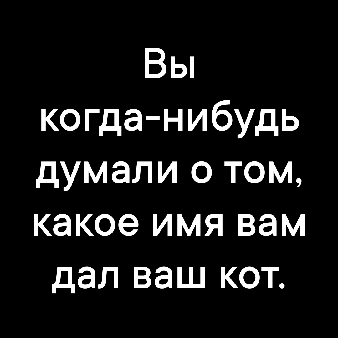 Надо подумать - Картинка с текстом, Юмор, Кот