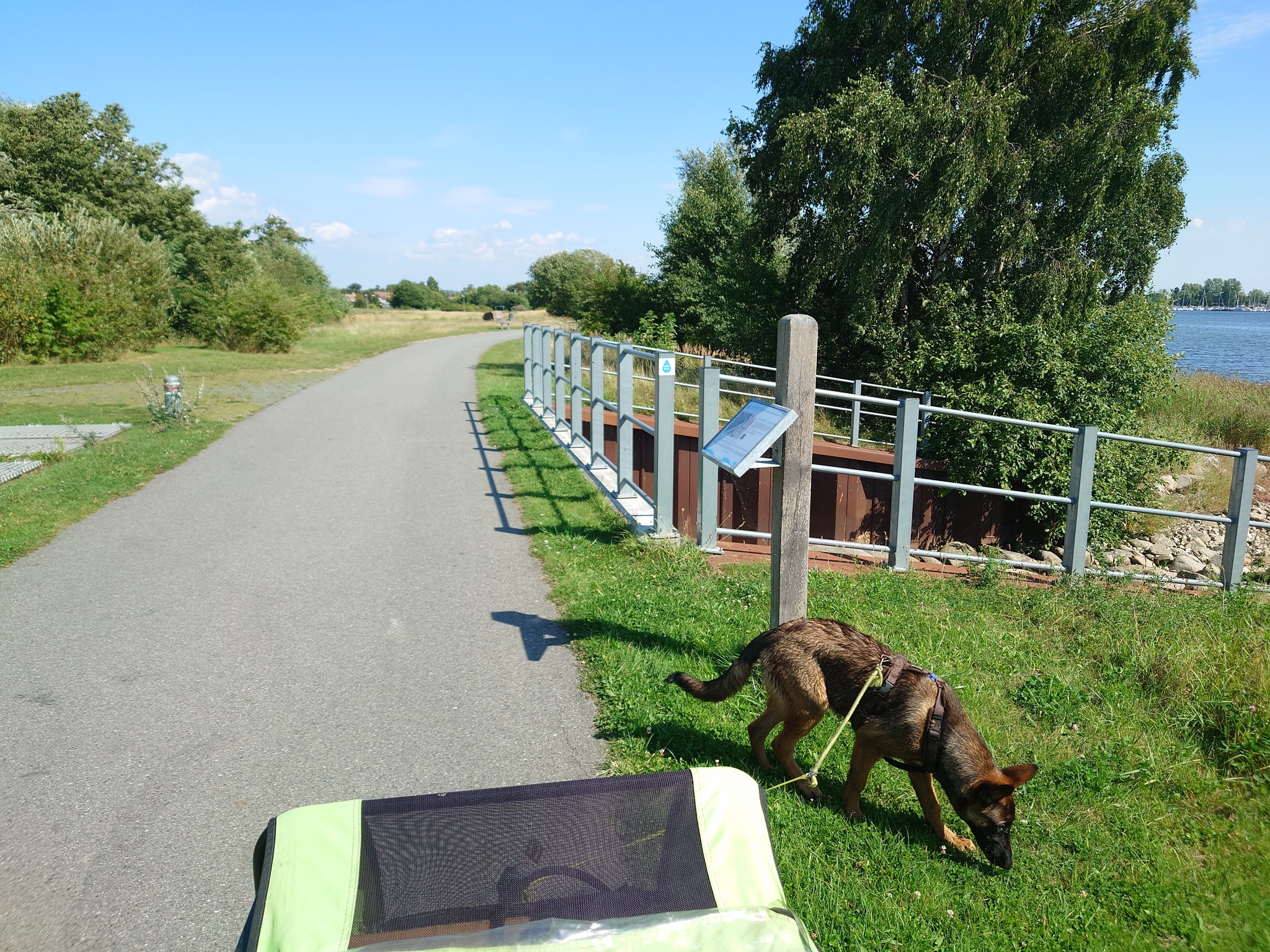 Escape from the Human Farm - My, A bike, Dog, The escape, Bike trip, No rating, Copenhagen, Longpost