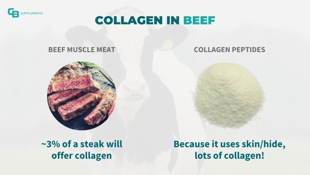 What Foods Contain Collagen? 4 Sources of Collagen - Research, Biology, Nutrition, Chemistry, The science, Scientists, Evolution, Nauchpop, Physics, Collagen, Brain, Longpost