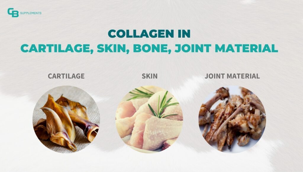 What Foods Contain Collagen? 4 Sources of Collagen - Research, Biology, Nutrition, Chemistry, The science, Scientists, Evolution, Nauchpop, Physics, Collagen, Brain, Longpost