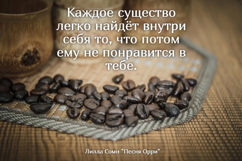 Орочий оракул - Моё, Философия, Фэнтези, Что почитать?, Эзотерика, Цитаты, Скриншот